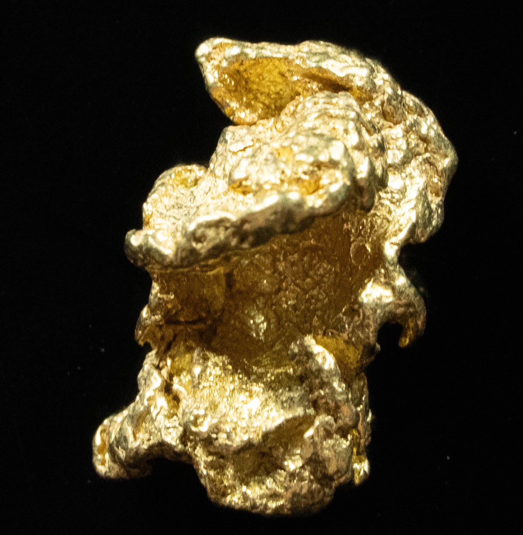 L-74 Exotic Dendritic Alaskan BC Natural Gold Nugget 5.85 Grams Genuine