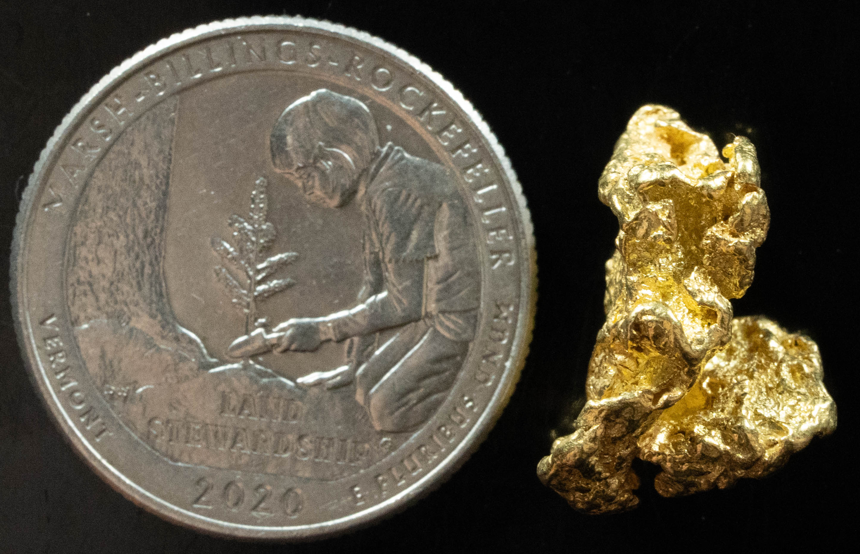 L-74 Exotic Dendritic Alaskan BC Natural Gold Nugget 5.85 Grams Genuine