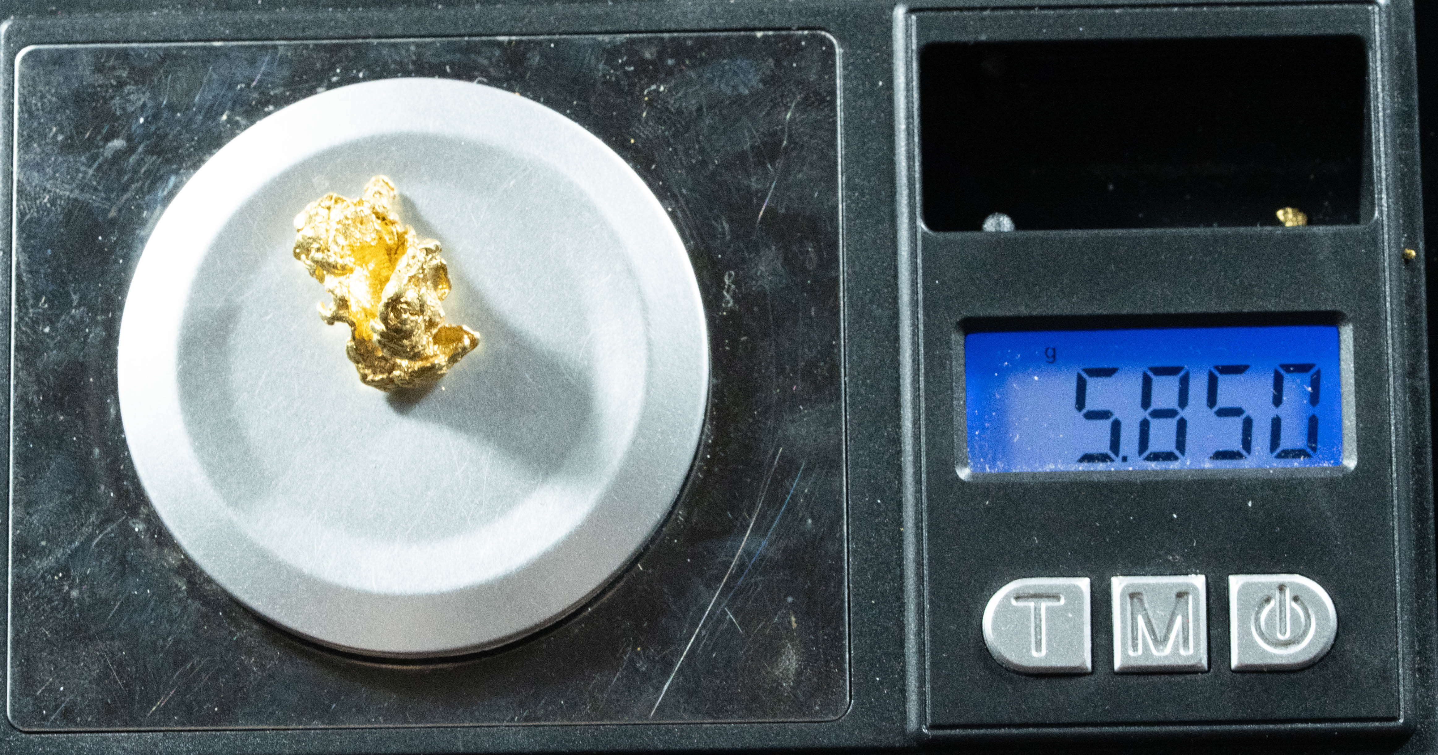 L-74 Exotic Dendritic Alaskan BC Natural Gold Nugget 5.85 Grams Genuine