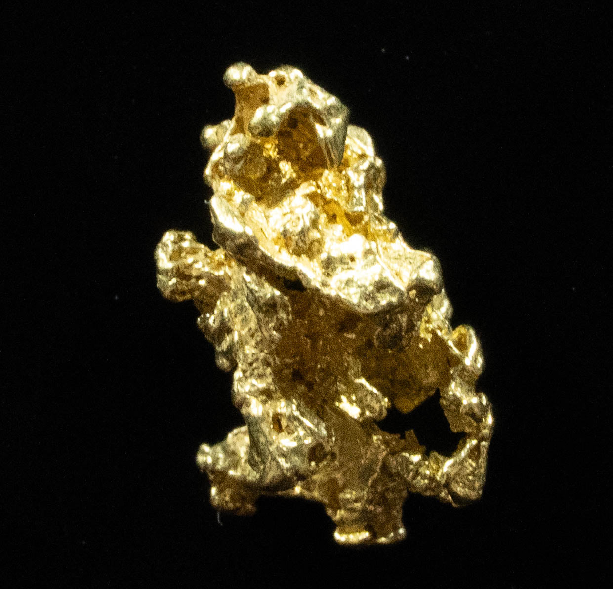 L-75 Exotic Dendritic Alaskan BC Natural Gold Nugget 1.31 Grams Genuine