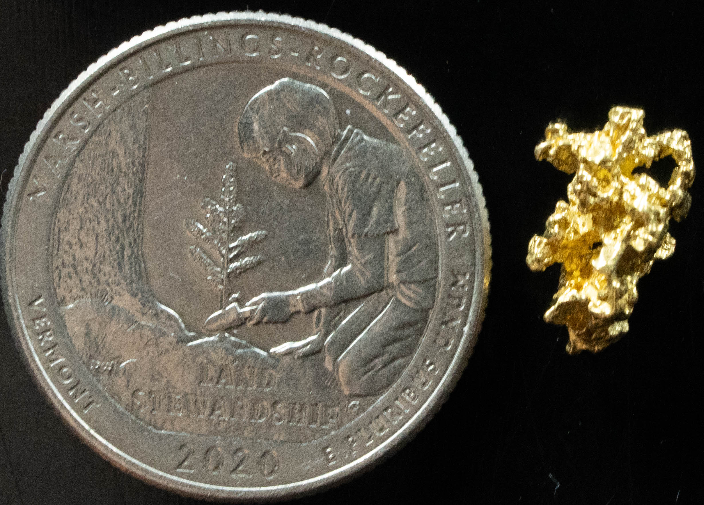 L-75 Exotic Dendritic Alaskan BC Natural Gold Nugget 1.31 Grams Genuine