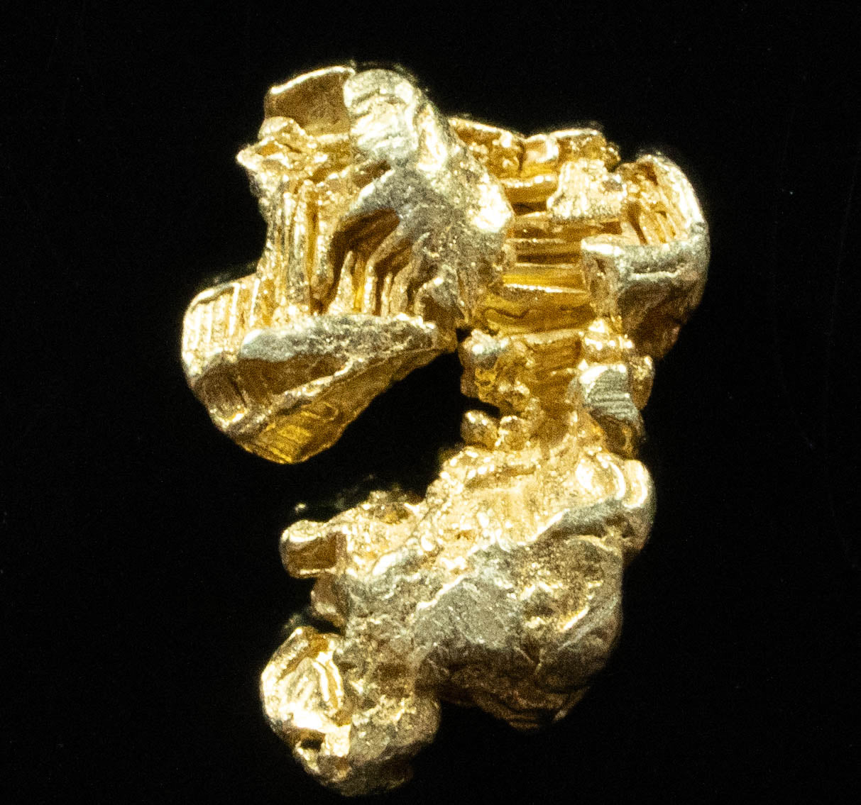 L-77 Exotic Dendritic Alaskan BC Natural Gold Nugget 1.35 Grams Genuine