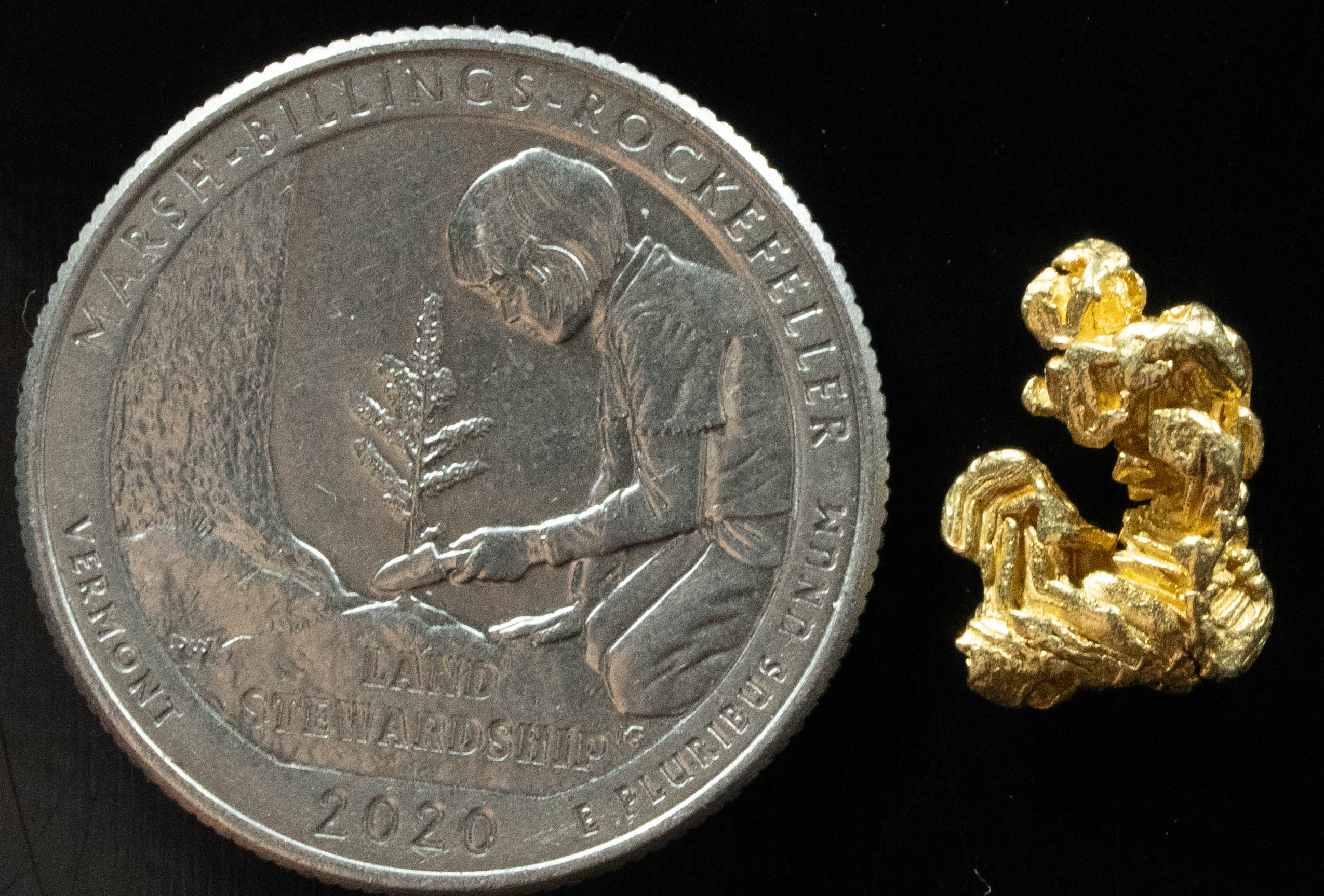 L-77 Exotic Dendritic Alaskan BC Natural Gold Nugget 1.35 Grams Genuine