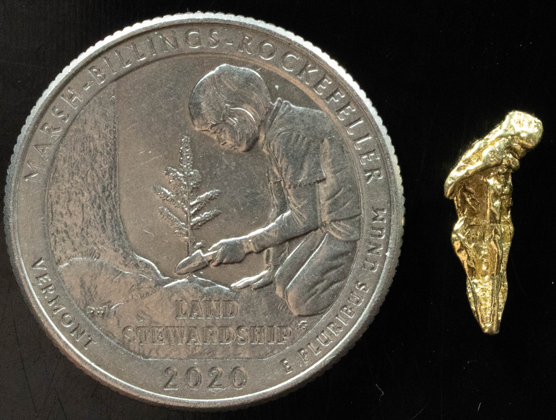 L-79 Exotic Dendritic Alaskan BC Natural Gold Nugget .73 Grams Genuine