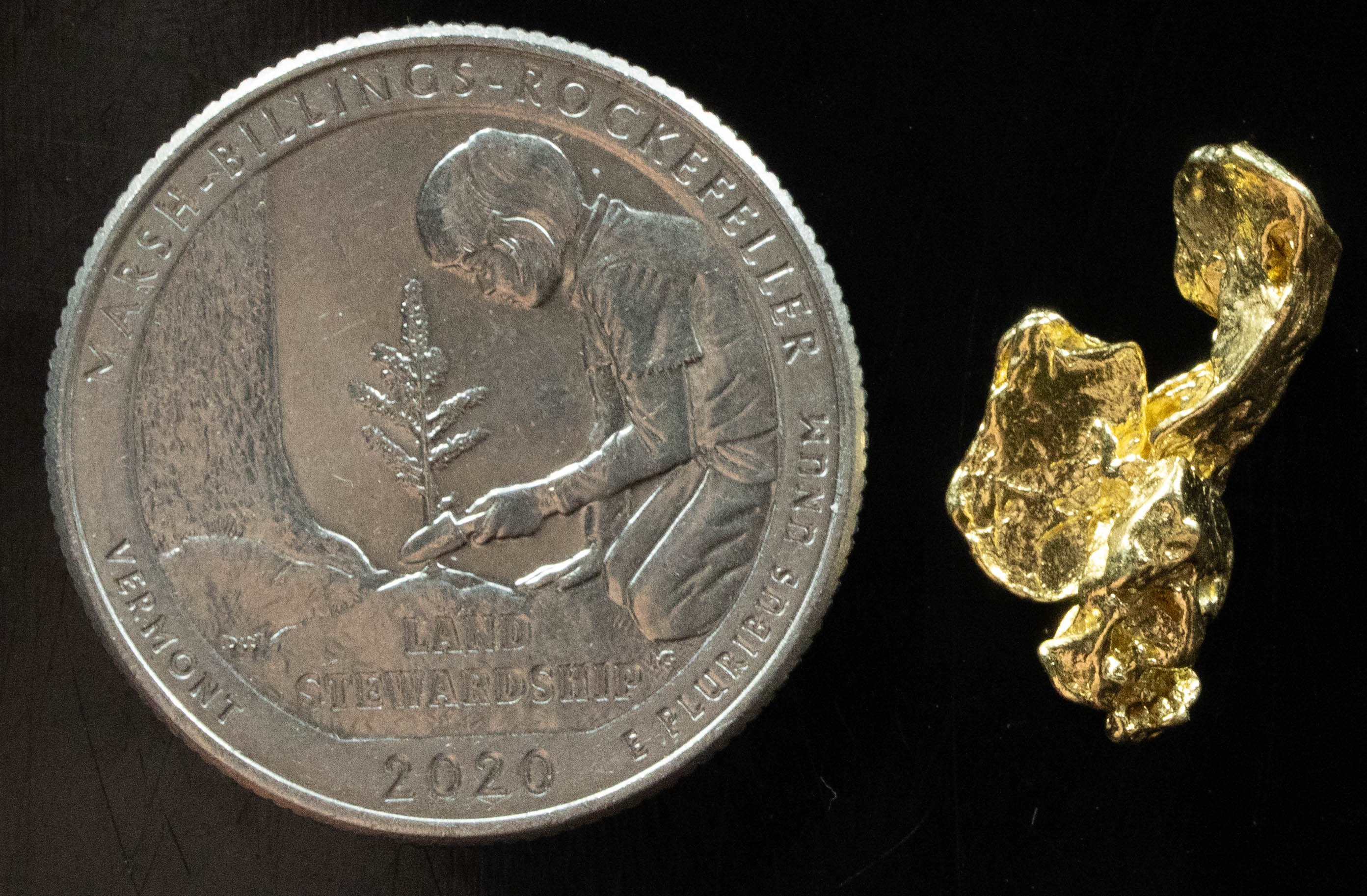 L-80 Exotic Dendritic Alaskan BC Natural Gold Nugget 2.68 Grams Genuine