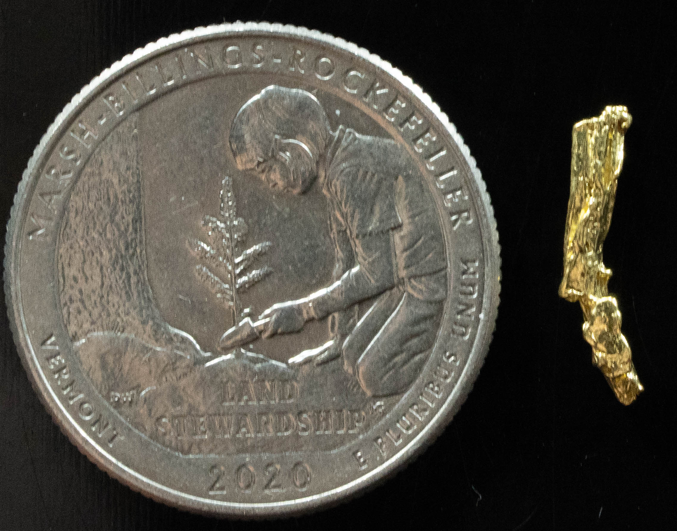 L-82 Exotic Dendritic Alaskan BC Natural Gold Nugget .373 Grams Genuine