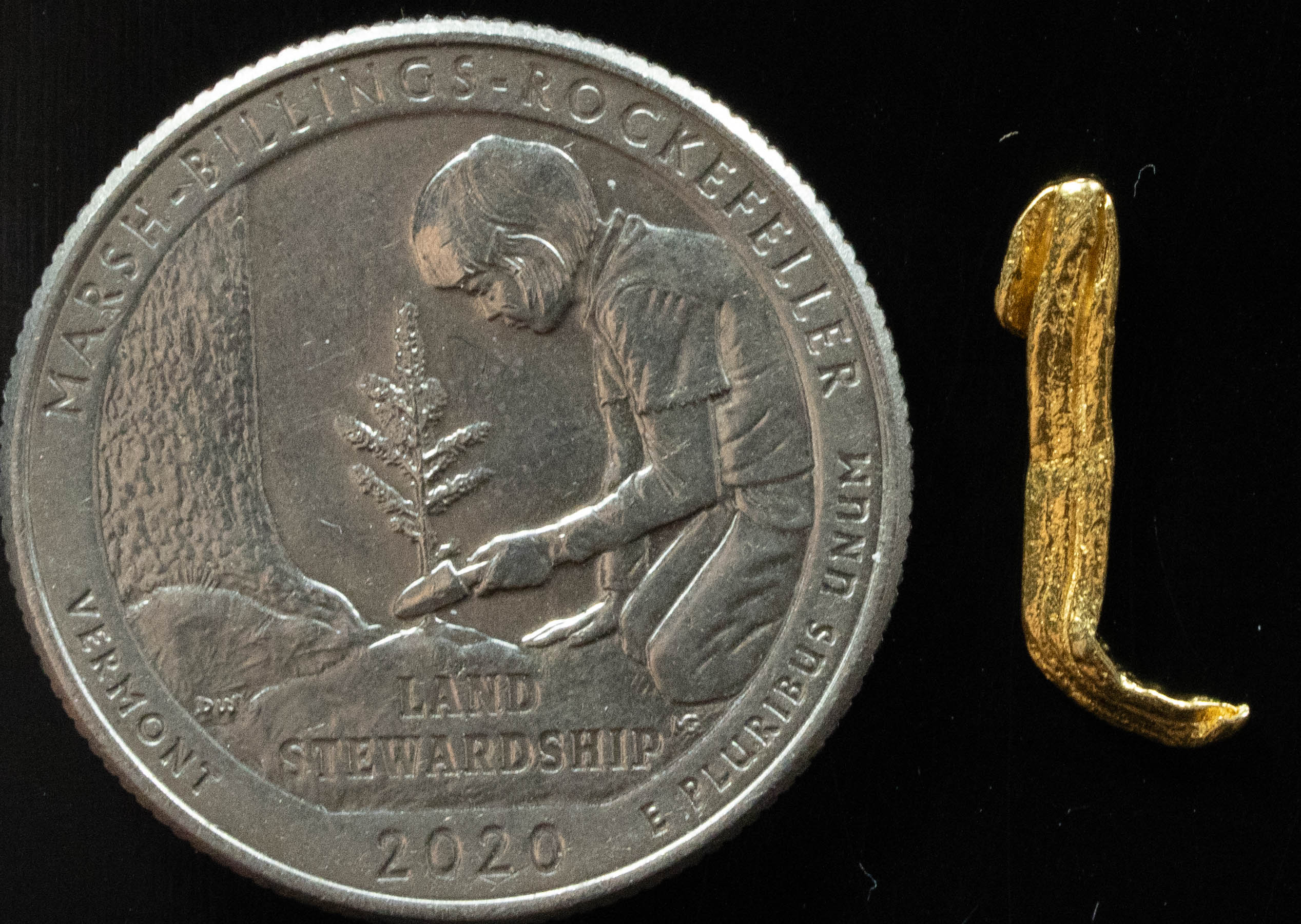 L-83 Exotic Dendritic Alaskan BC Natural Gold Nugget .329 Grams Genuine