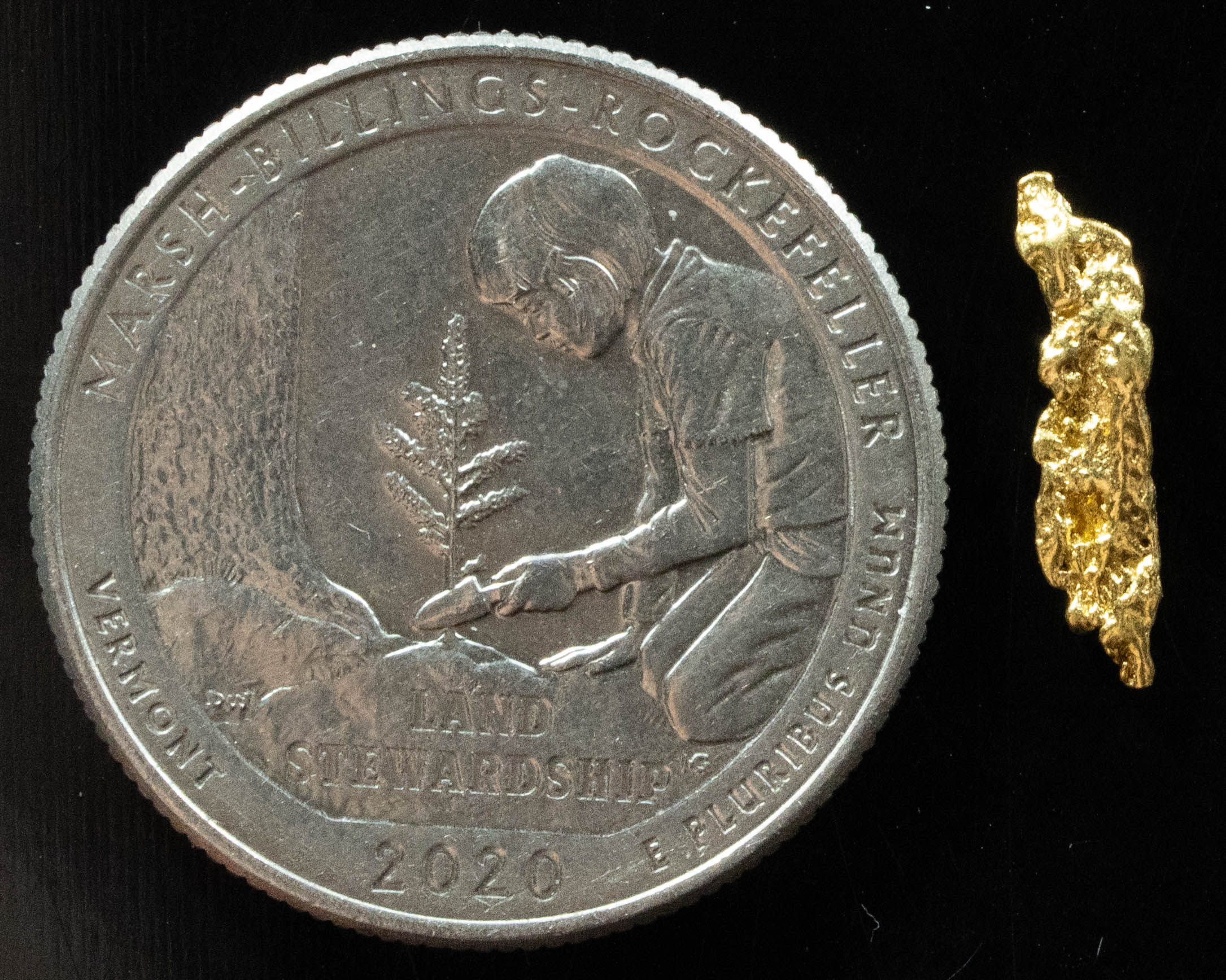 L-84 Exotic Dendritic Alaskan BC Natural Gold Nugget .432 Grams Genuine