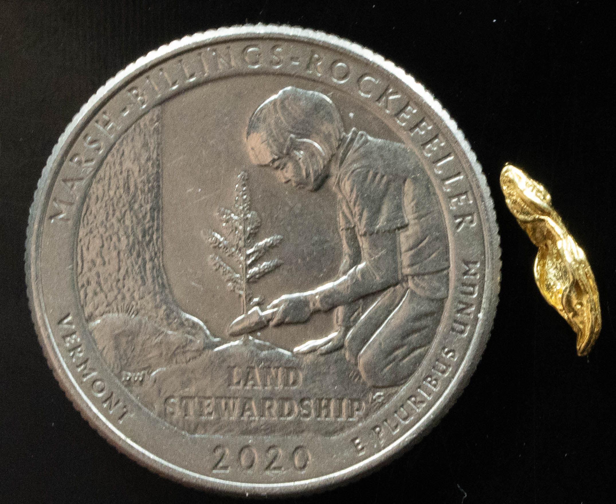 L-85 Exotic Dendritic Alaskan BC Natural Gold Nugget .196 Grams Genuine