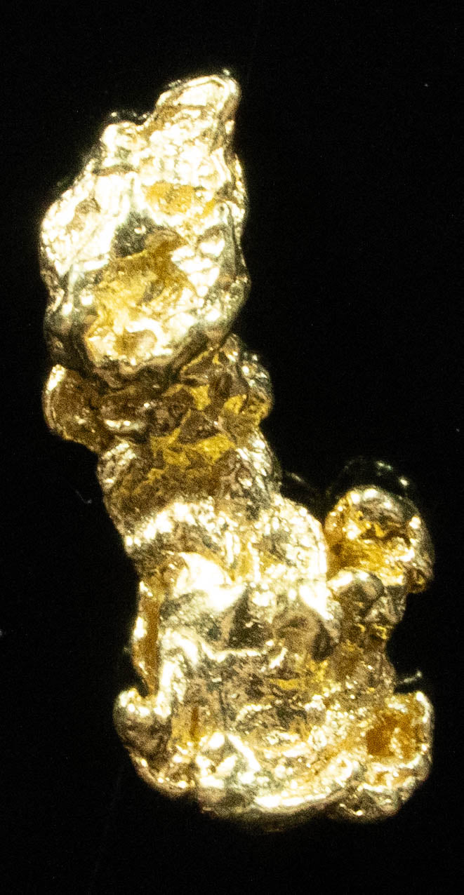 L-87 Exotic Dendritic Alaskan BC Natural Gold Nugget .848 Grams Genuine