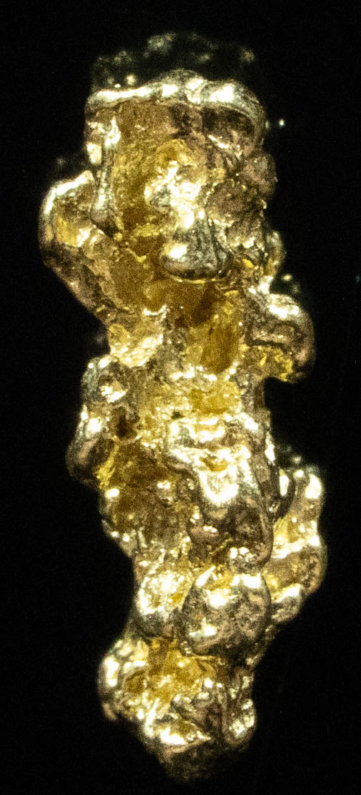 L-88 Exotic Dendritic Alaskan BC Natural Gold Nugget .938 Grams Genuine