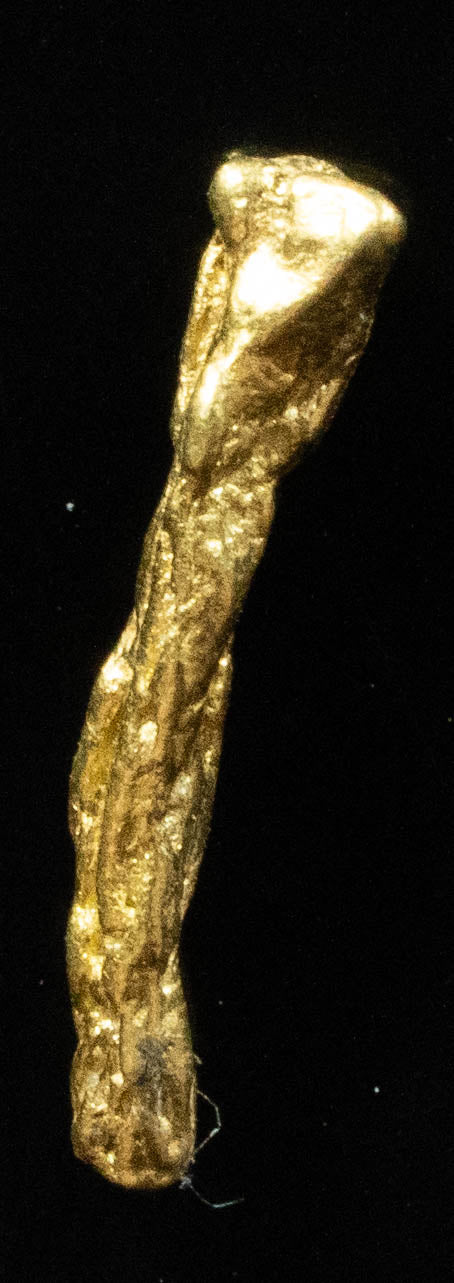 L-90 Exotic Dendritic Alaskan BC Natural Gold Nugget .469 Grams Genuine