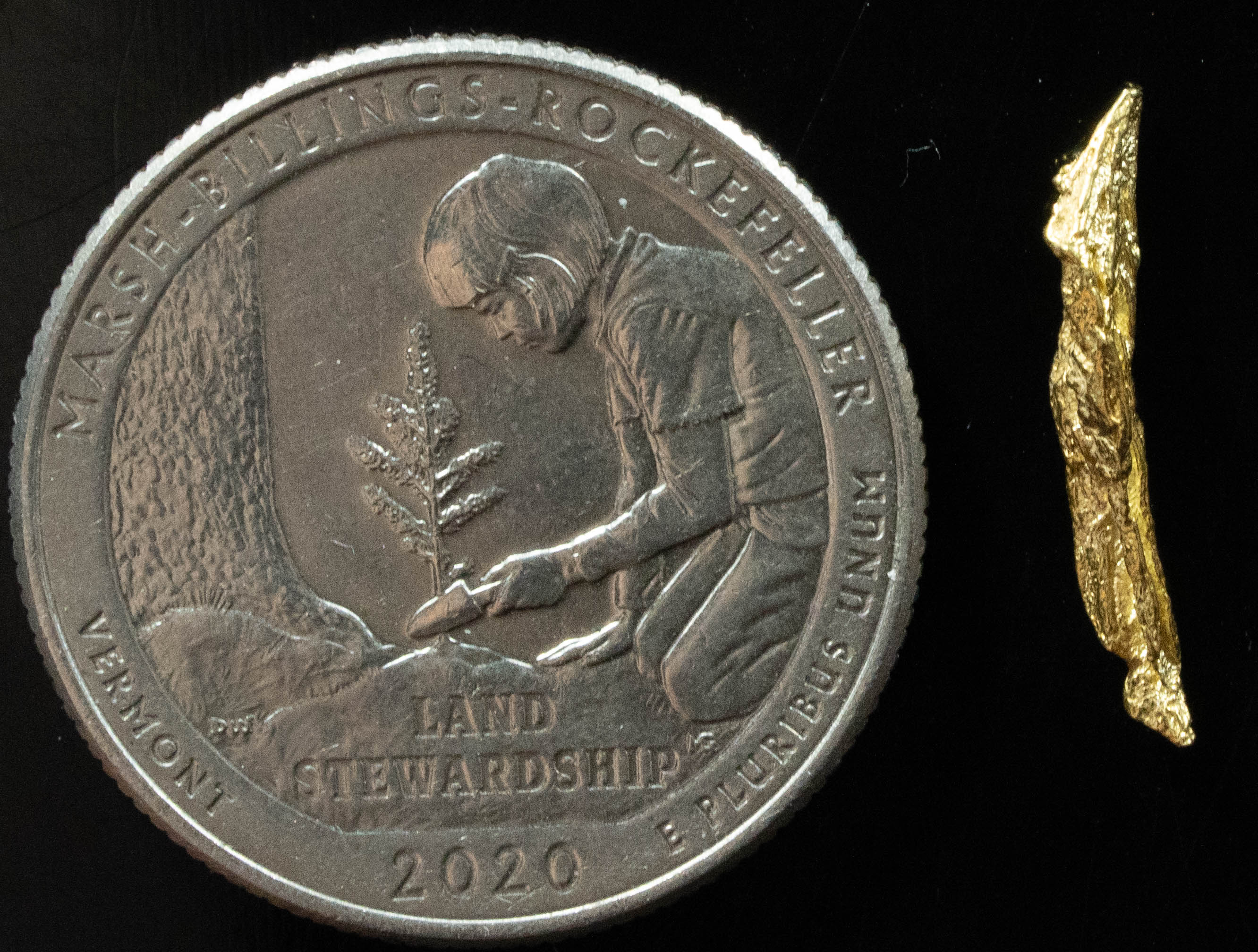 L-93 Exotic Dendritic Alaskan BC Natural Gold Nugget .50 Grams Genuine