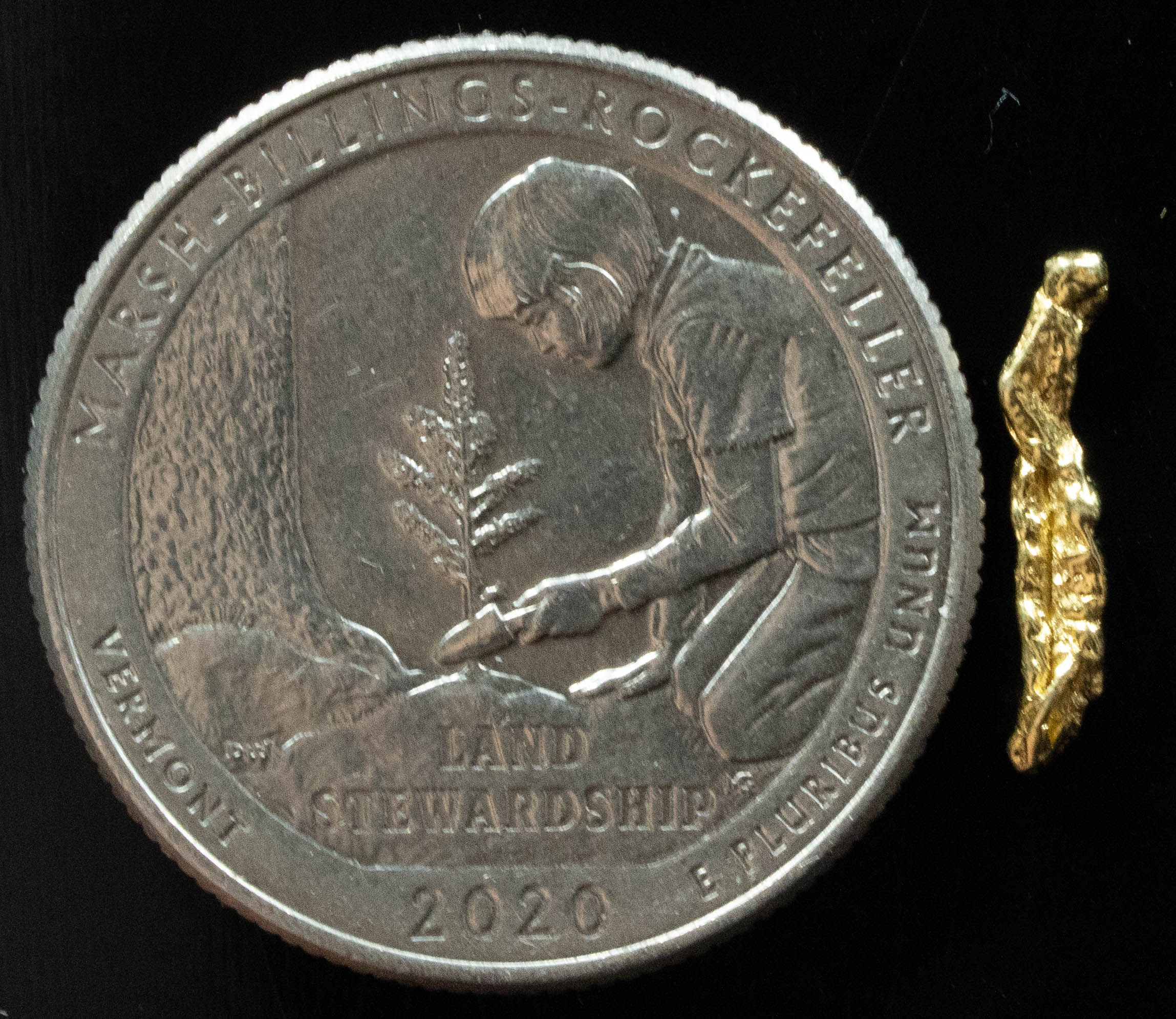 L-94 Exotic Dendritic Alaskan BC Natural Gold Nugget .274 Grams Genuine