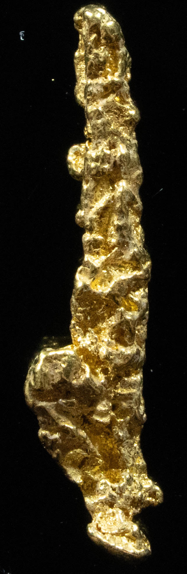 L-96 Exotic Dendritic Alaskan BC Natural Gold Nugget .858 Grams Genuine