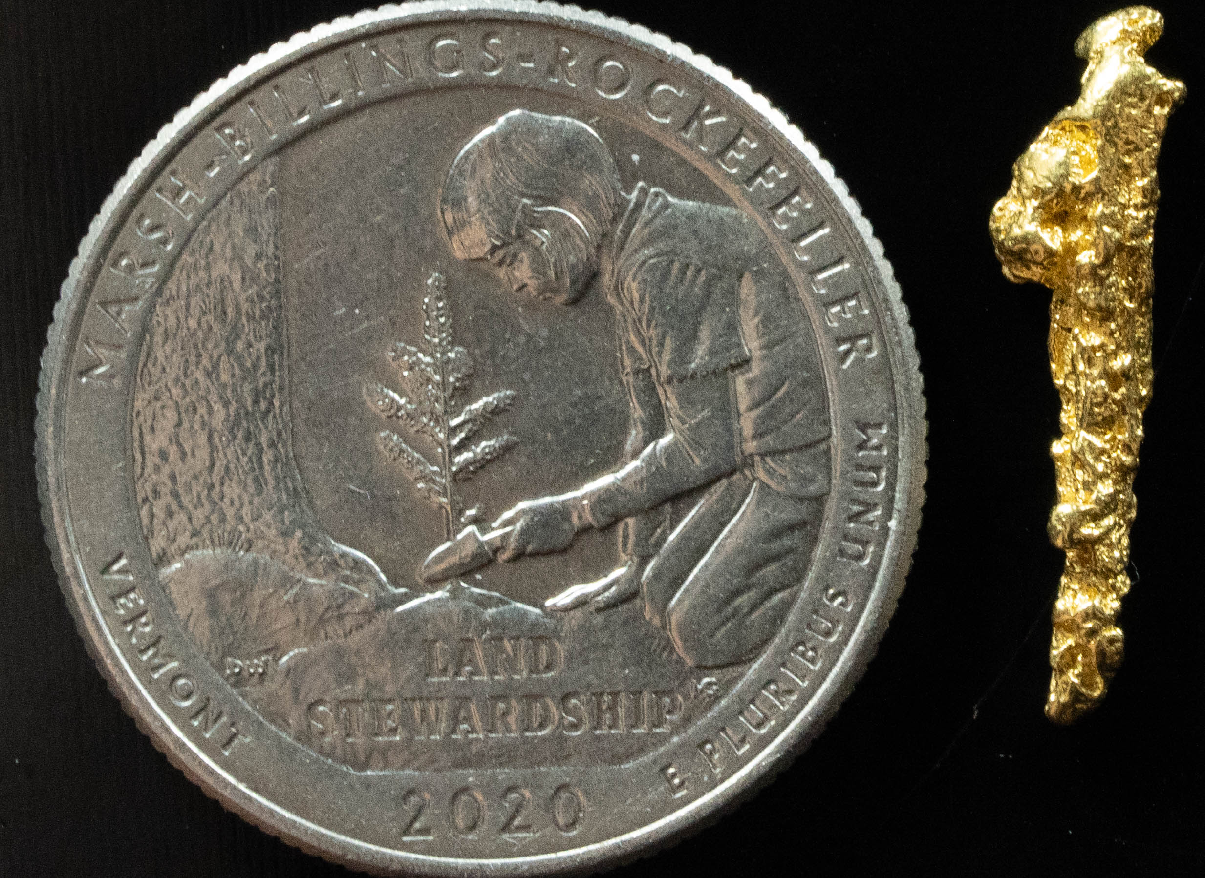 L-96 Exotic Dendritic Alaskan BC Natural Gold Nugget .858 Grams Genuine