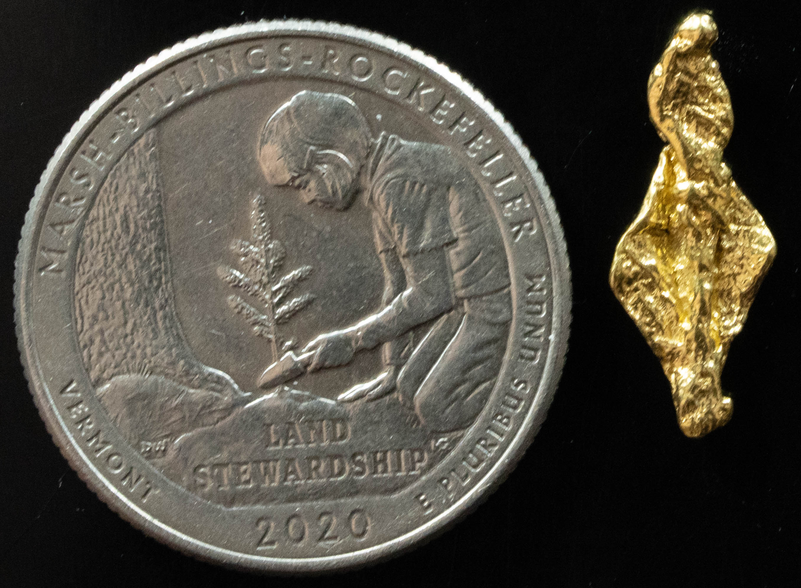 L-97 Exotic Dendritic Alaskan BC Natural Gold Nugget .855 Grams Genuine