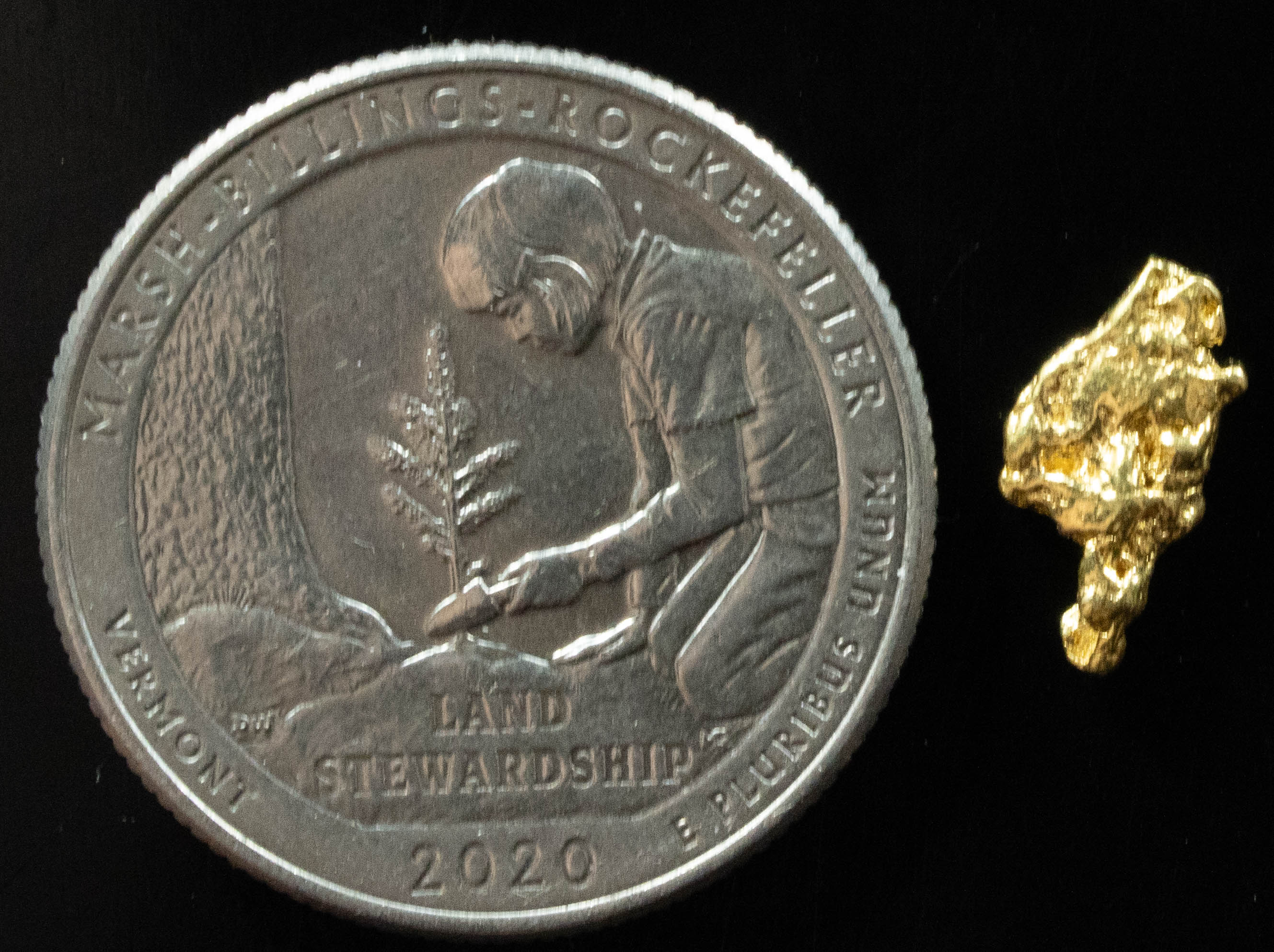 L-98 Exotic Dendritic Alaskan BC Natural Gold Nugget .647 Grams Genuine