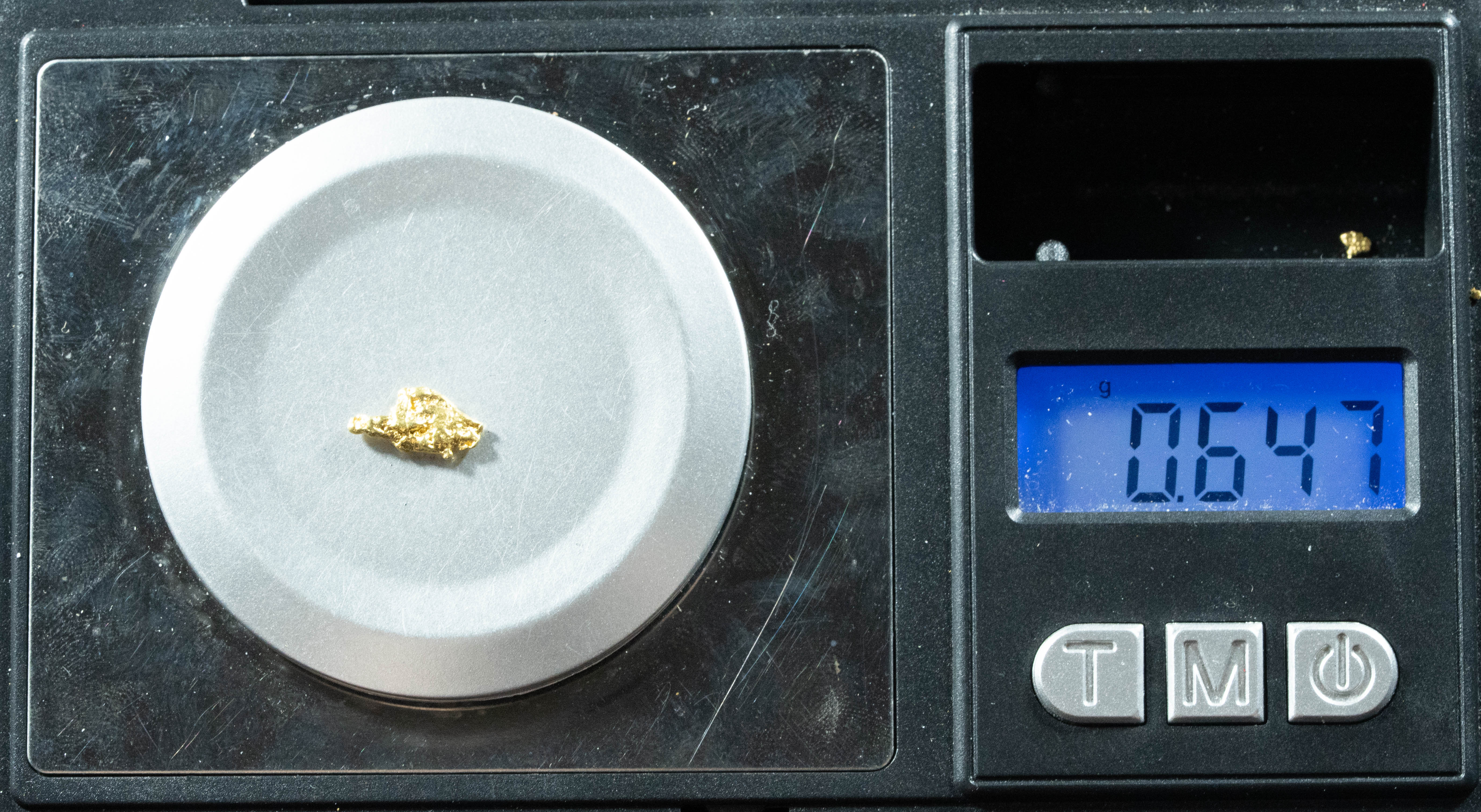 L-98 Exotic Dendritic Alaskan BC Natural Gold Nugget .647 Grams Genuine