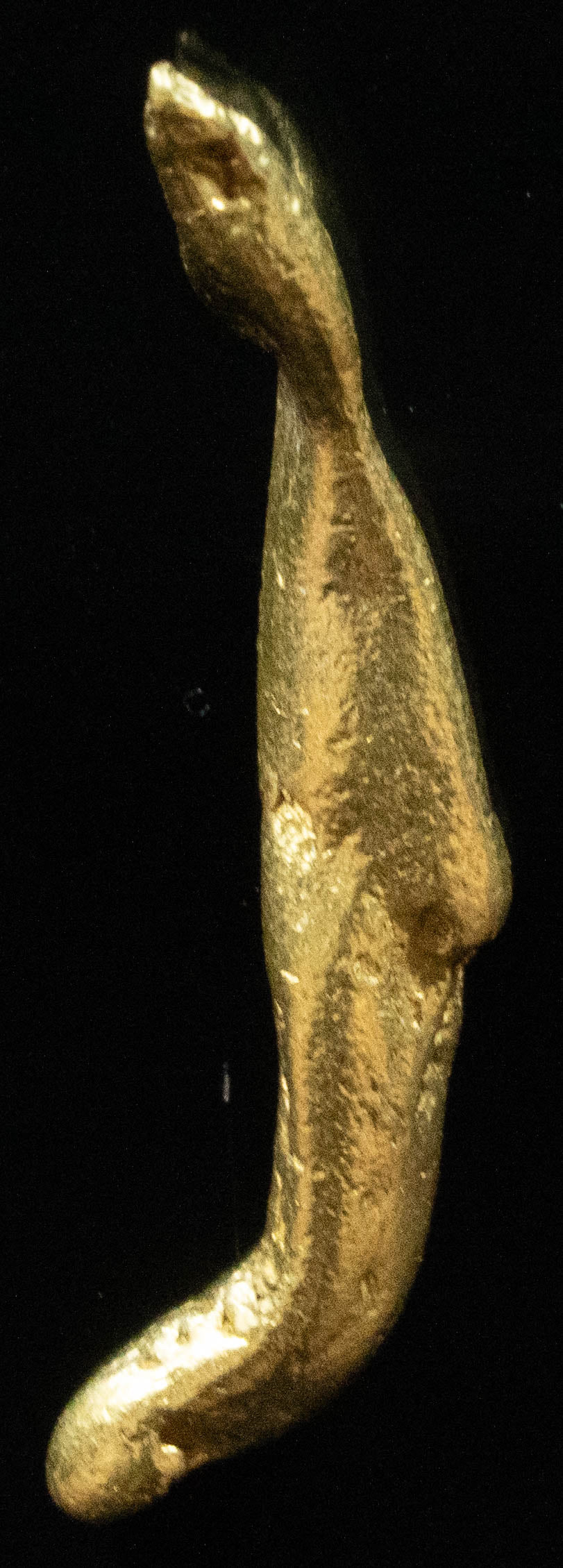 L-99 Exotic Dendritic Alaskan BC Natural Gold Nugget 2.31 Grams Genuine