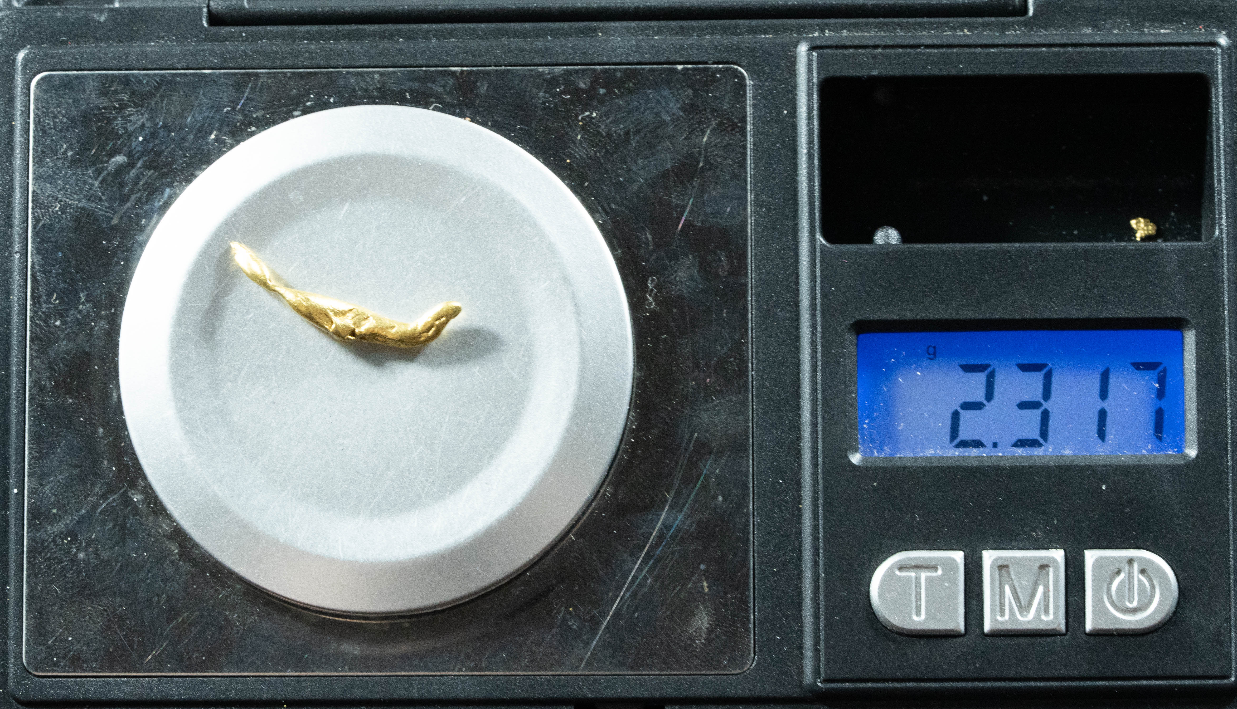 L-99 Exotic Dendritic Alaskan BC Natural Gold Nugget 2.31 Grams Genuine