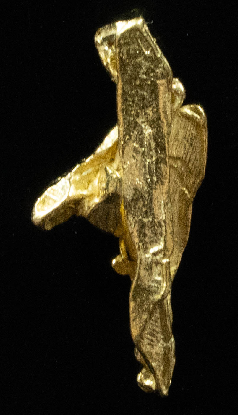 L-101 Exotic Dendritic Alaskan BC Natural Gold Nugget .429 Grams Genuine