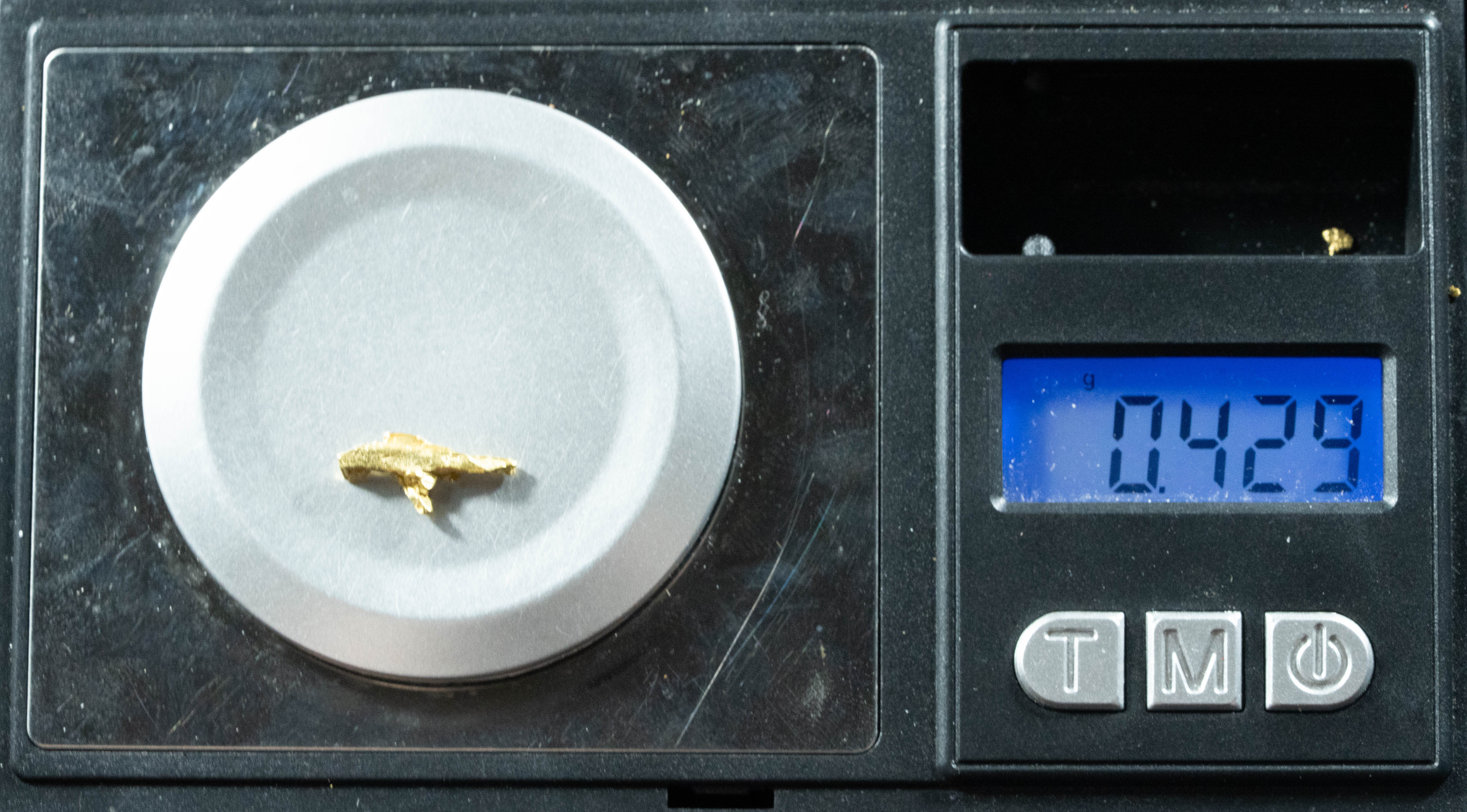 L-101 Exotic Dendritic Alaskan BC Natural Gold Nugget .429 Grams Genuine