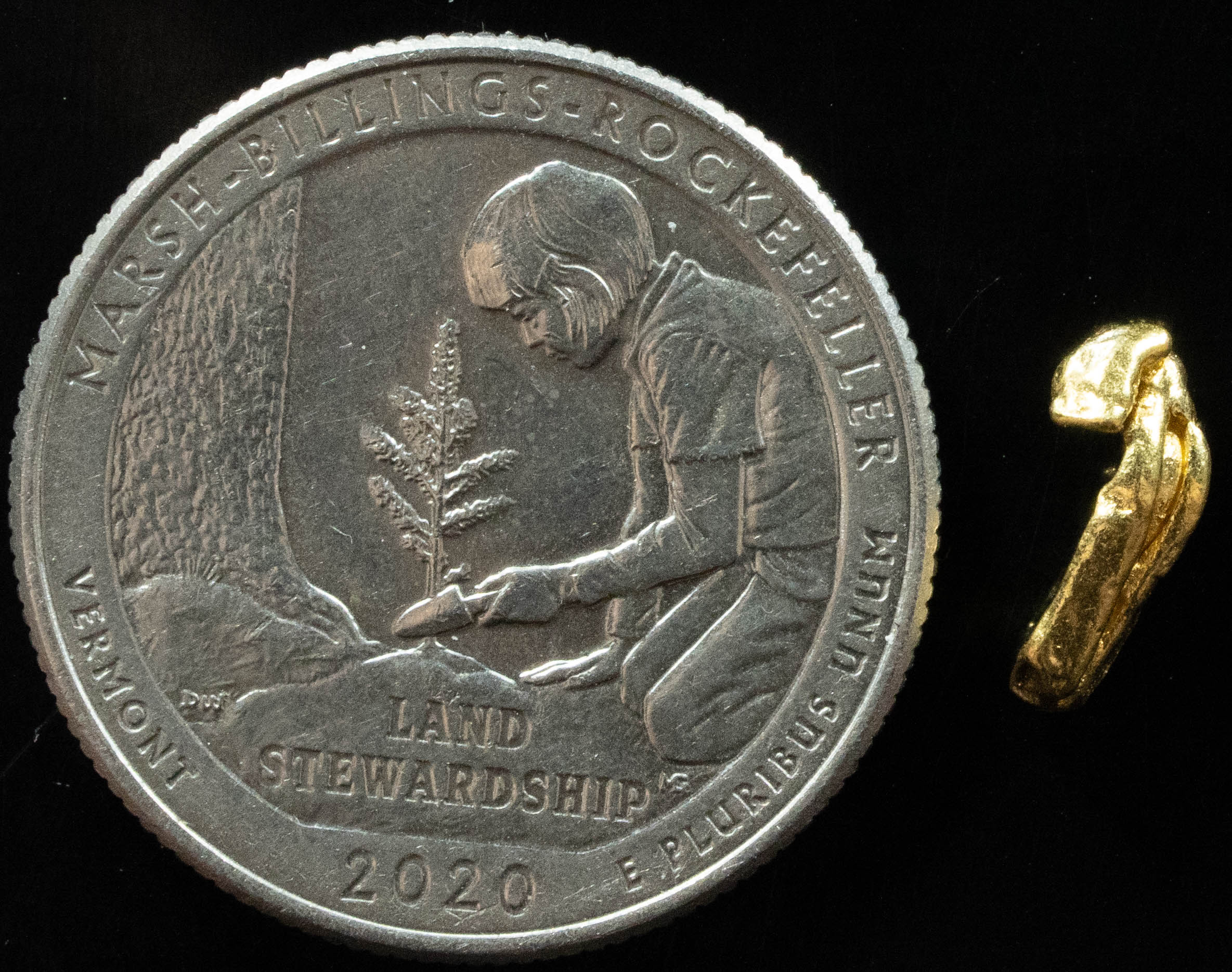 L-102 Exotic Dendritic Alaskan BC Natural Gold Nugget .77 Grams Genuine