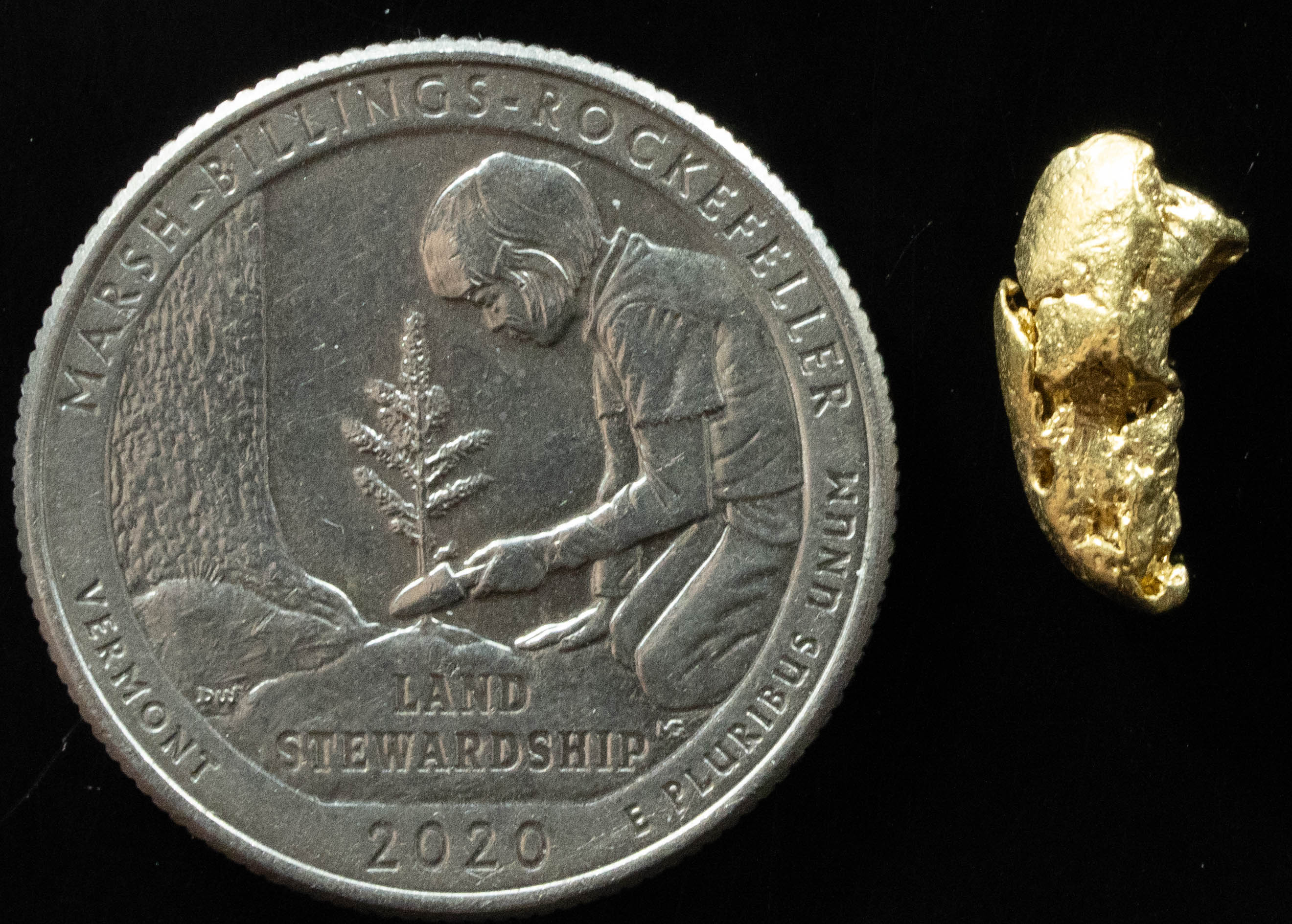 L-103 Exotic Dendritic Alaskan BC Natural Gold Nugget 1.43 Grams Genuine