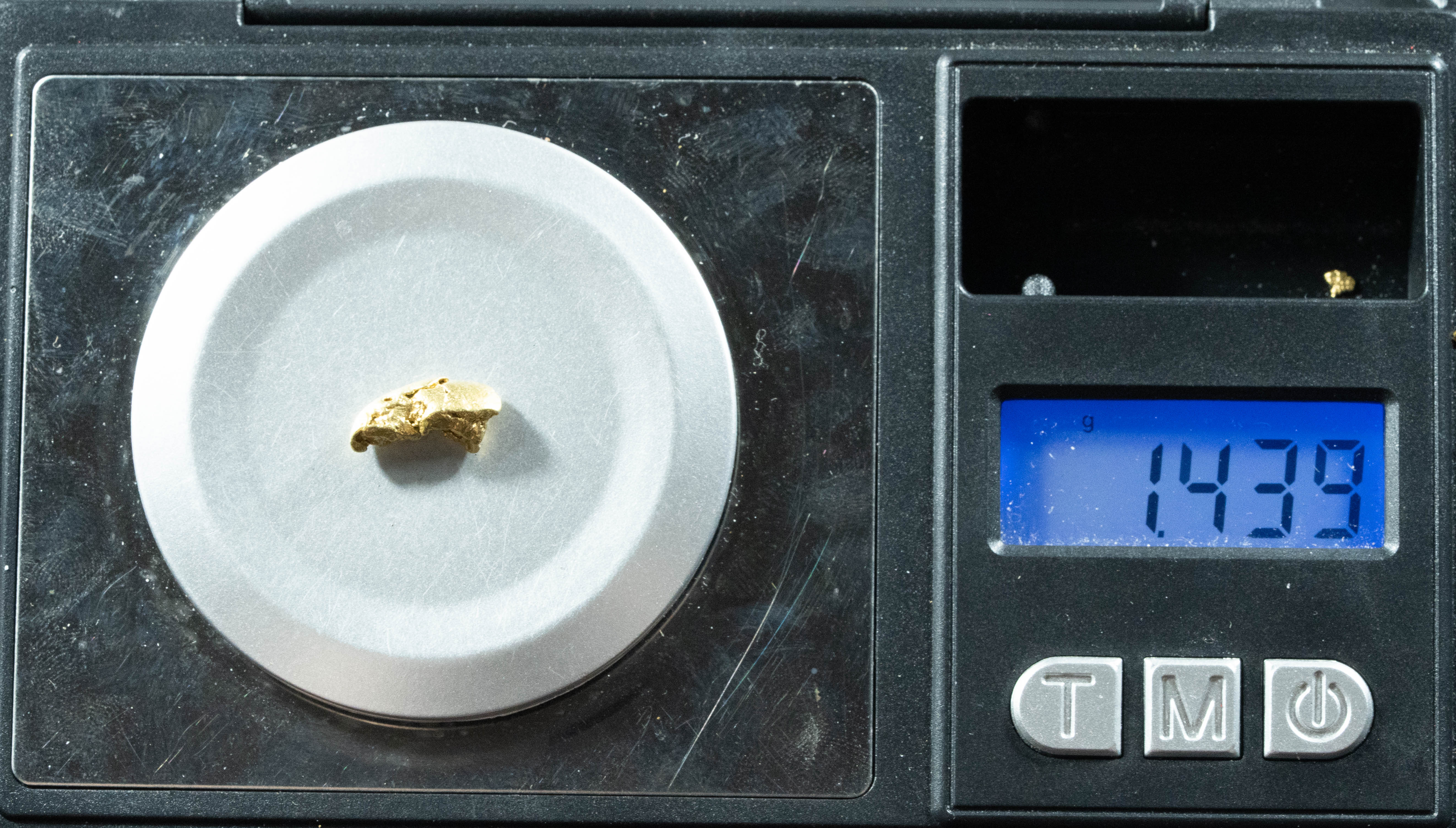 L-103 Exotic Dendritic Alaskan BC Natural Gold Nugget 1.43 Grams Genuine