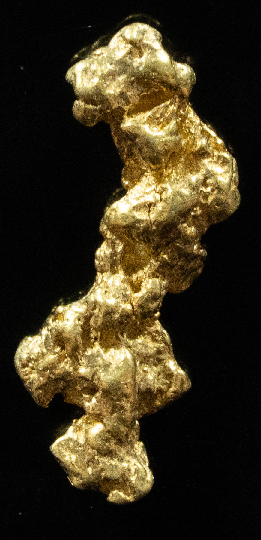 L-106 Exotic Dendritic Alaskan BC Natural Gold Nugget 1.76 Grams Genuine