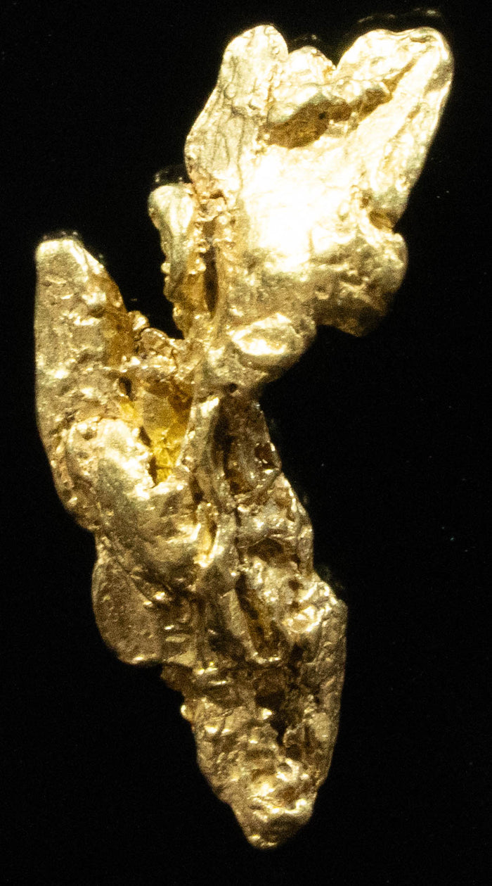 L-108 Exotic Dendritic Alaskan BC Natural Gold Nugget 1.10 Grams Genuine