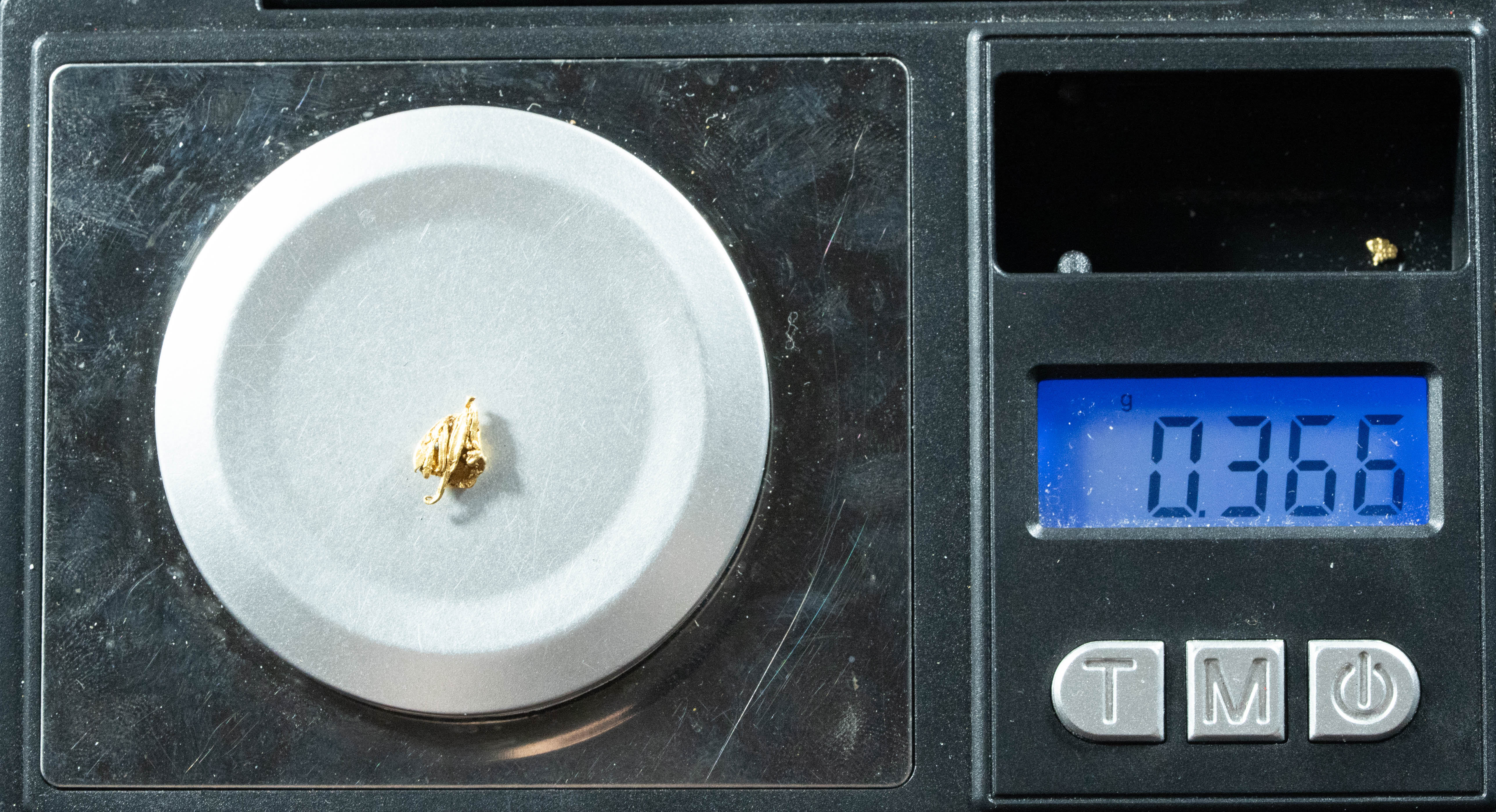 L-109 Exotic Dendritic Alaskan BC Natural Gold Nugget .366 Grams Genuine