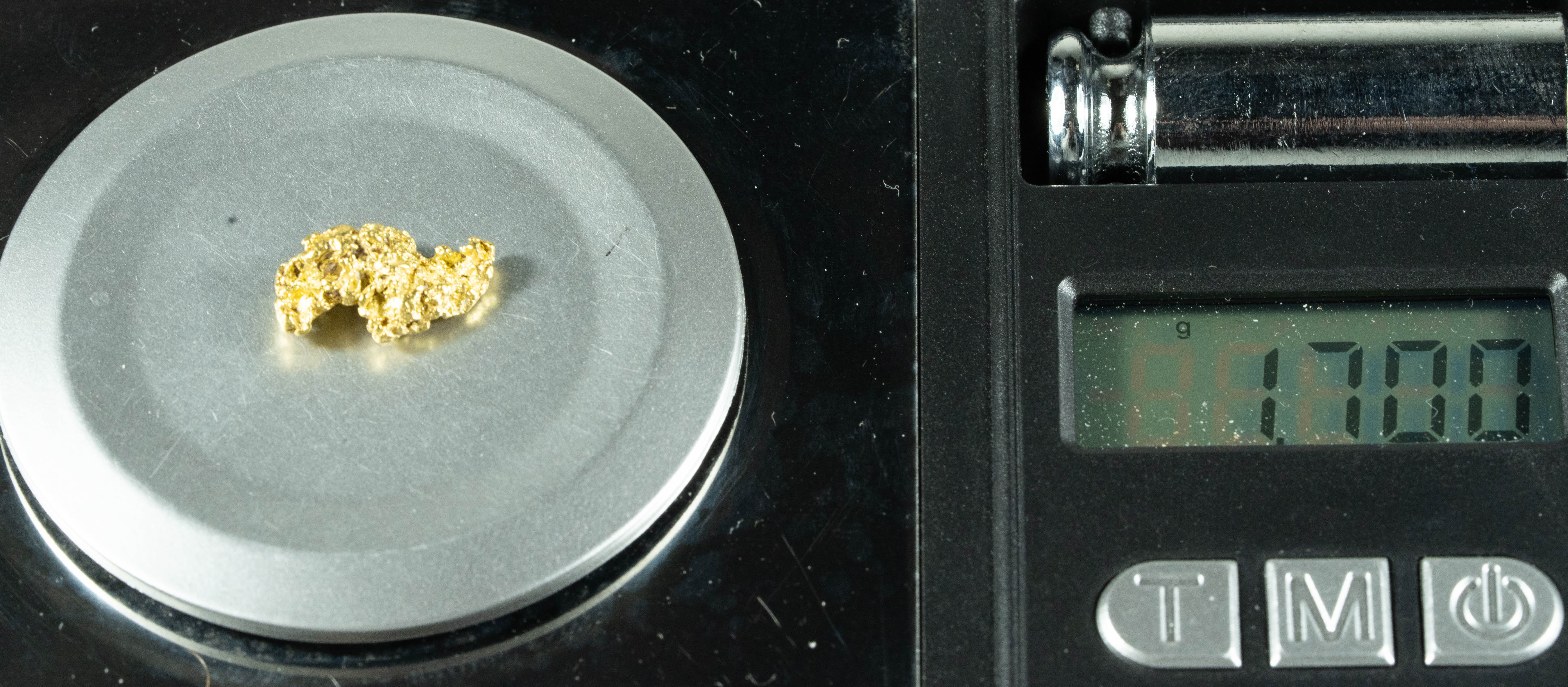 #24 Alaskan BC Natural Gold Nugget 1.70 Grams Genuine