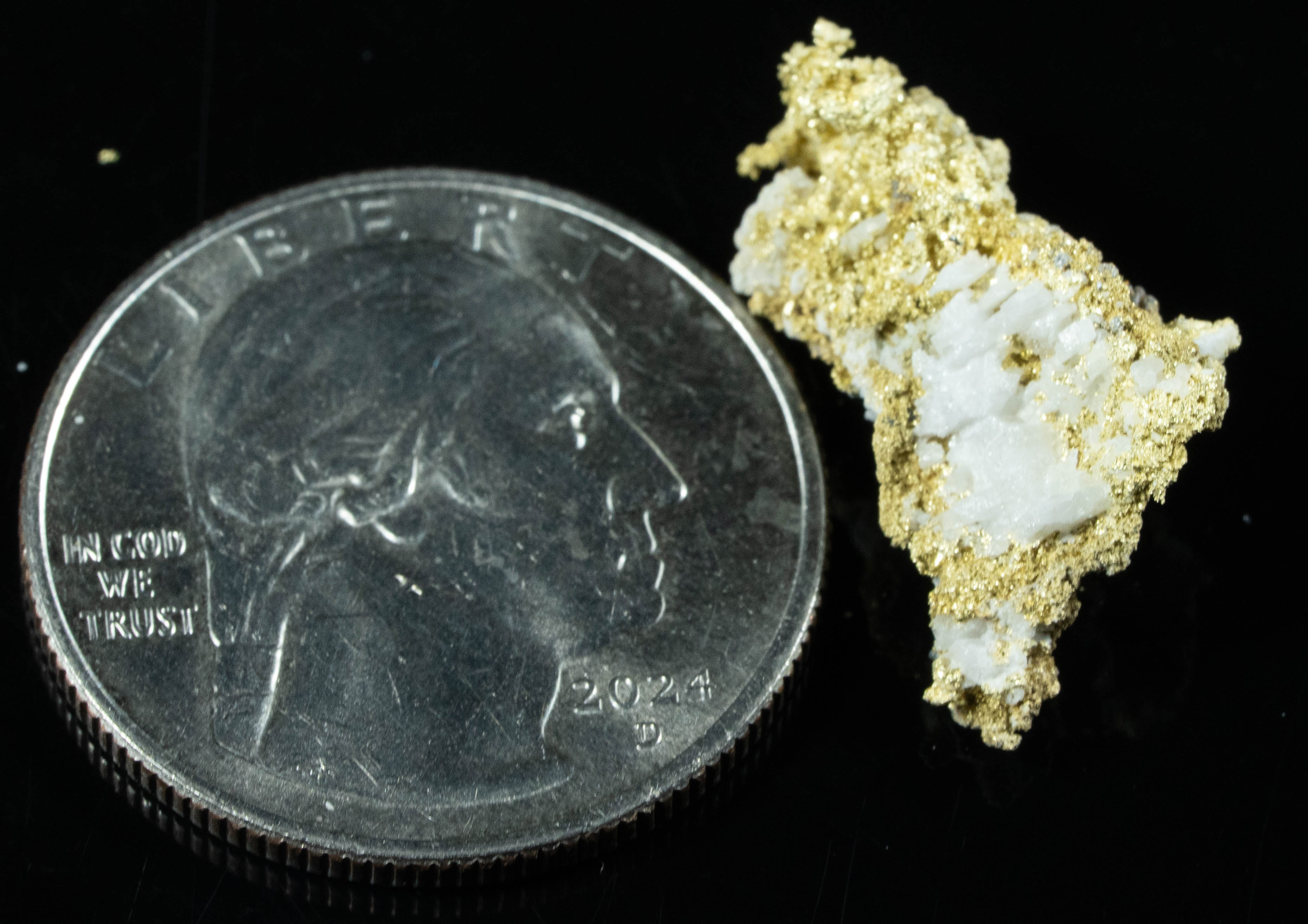 #OM-177 Crystalline Gold Nugget Specimen 3.12 Grams Oriental Mine Sierra County California Rare