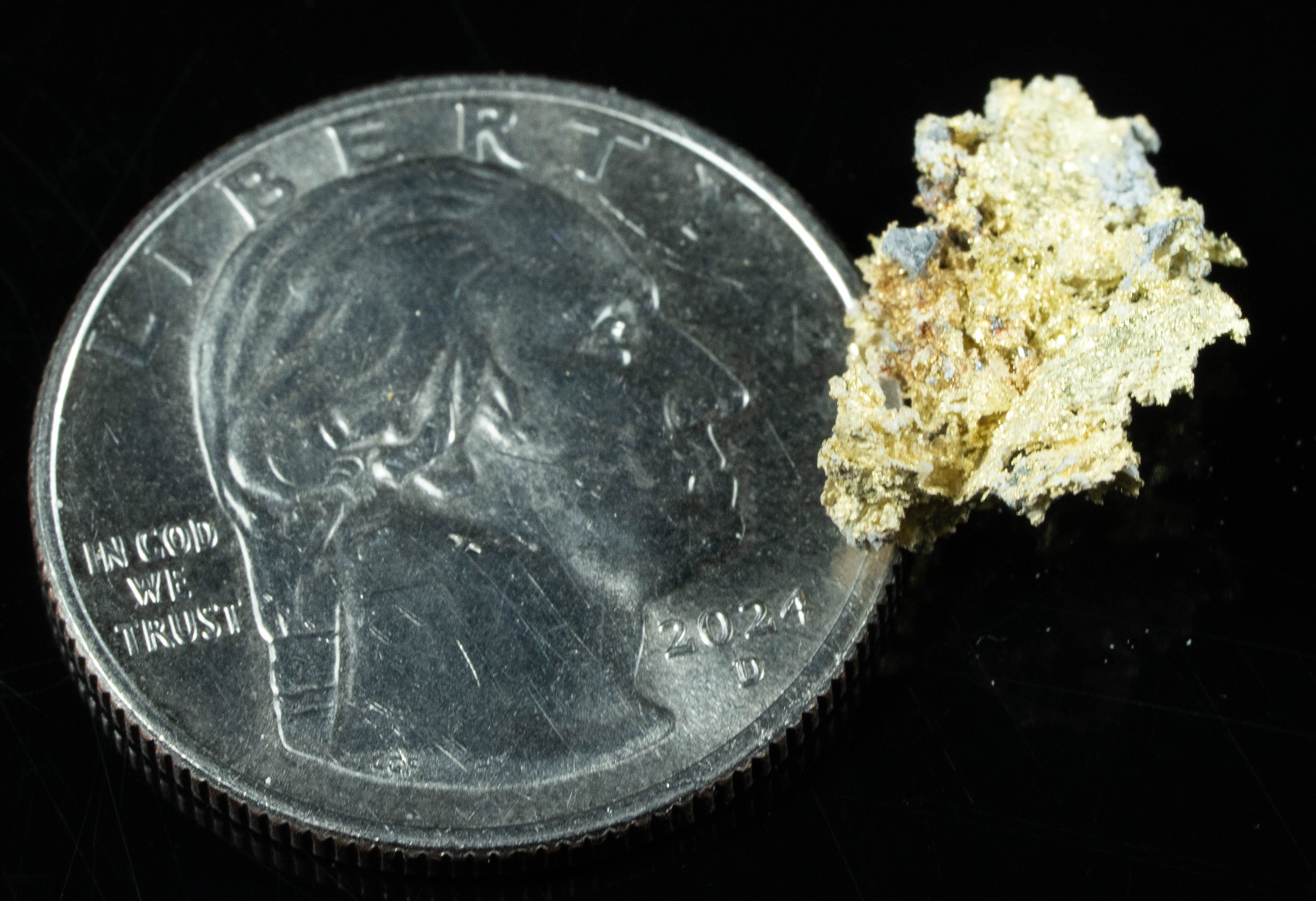 #OM-127 Crystalline Gold Nugget Specimen 1.30 Grams Oriental Mine Sierra County California Rare