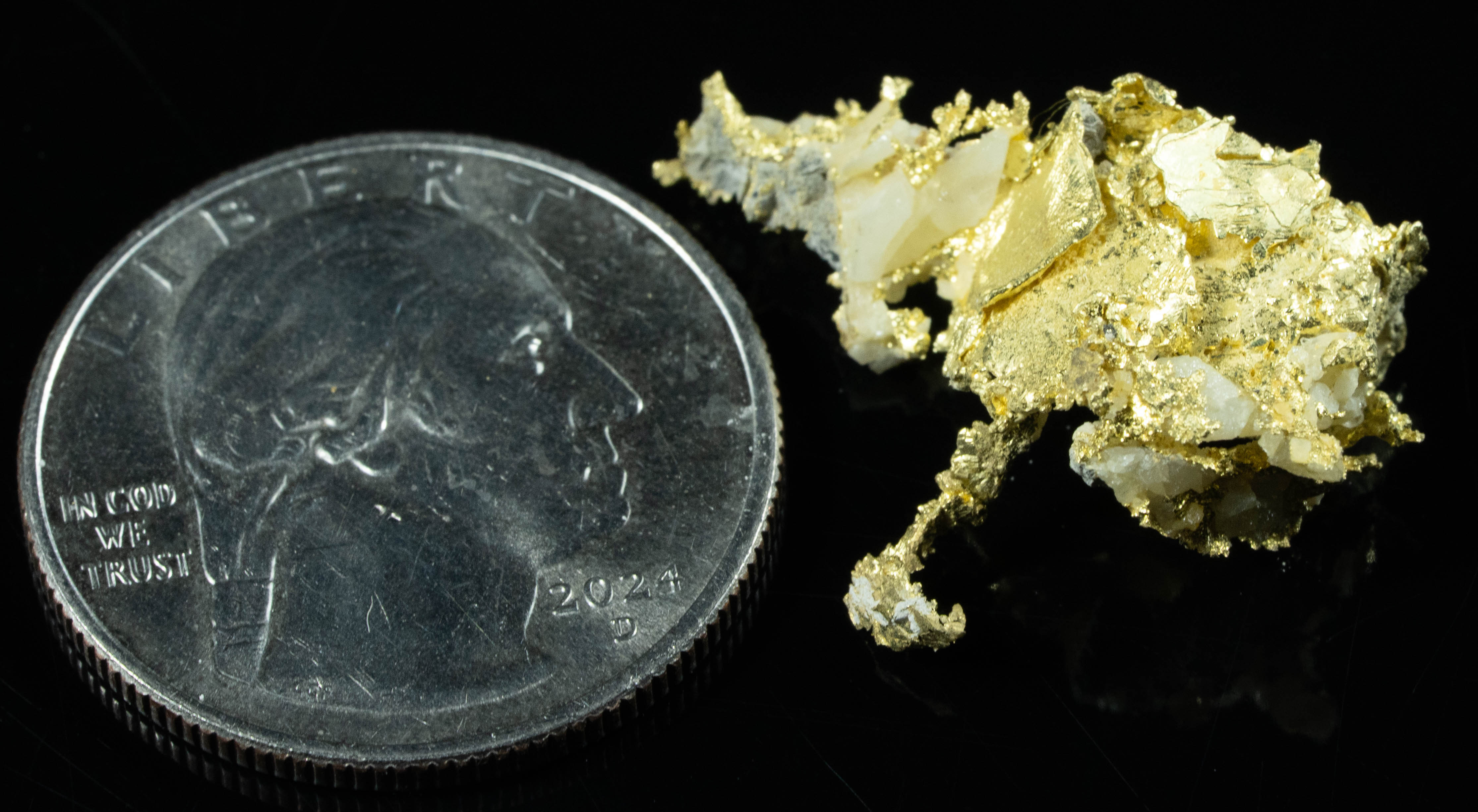 #OM-129 Crystalline Gold Nugget Specimen 3.20 Grams Oriental Mine Sierra County California Rare