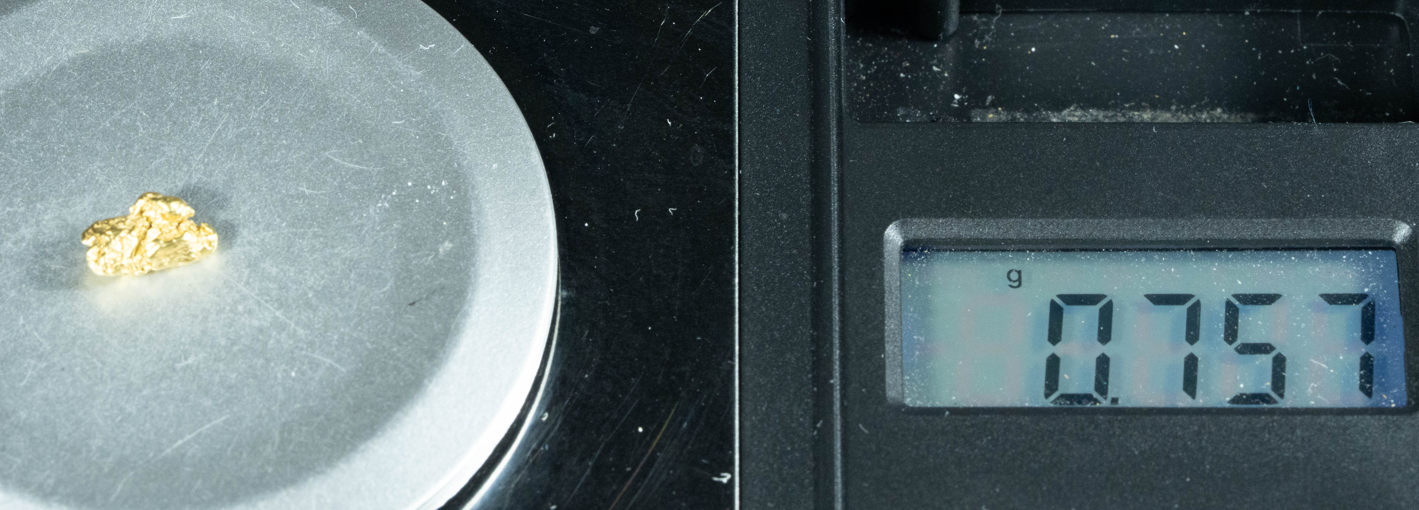 #33 Alaskan BC Natural Gold Nugget .75 Grams Genuine