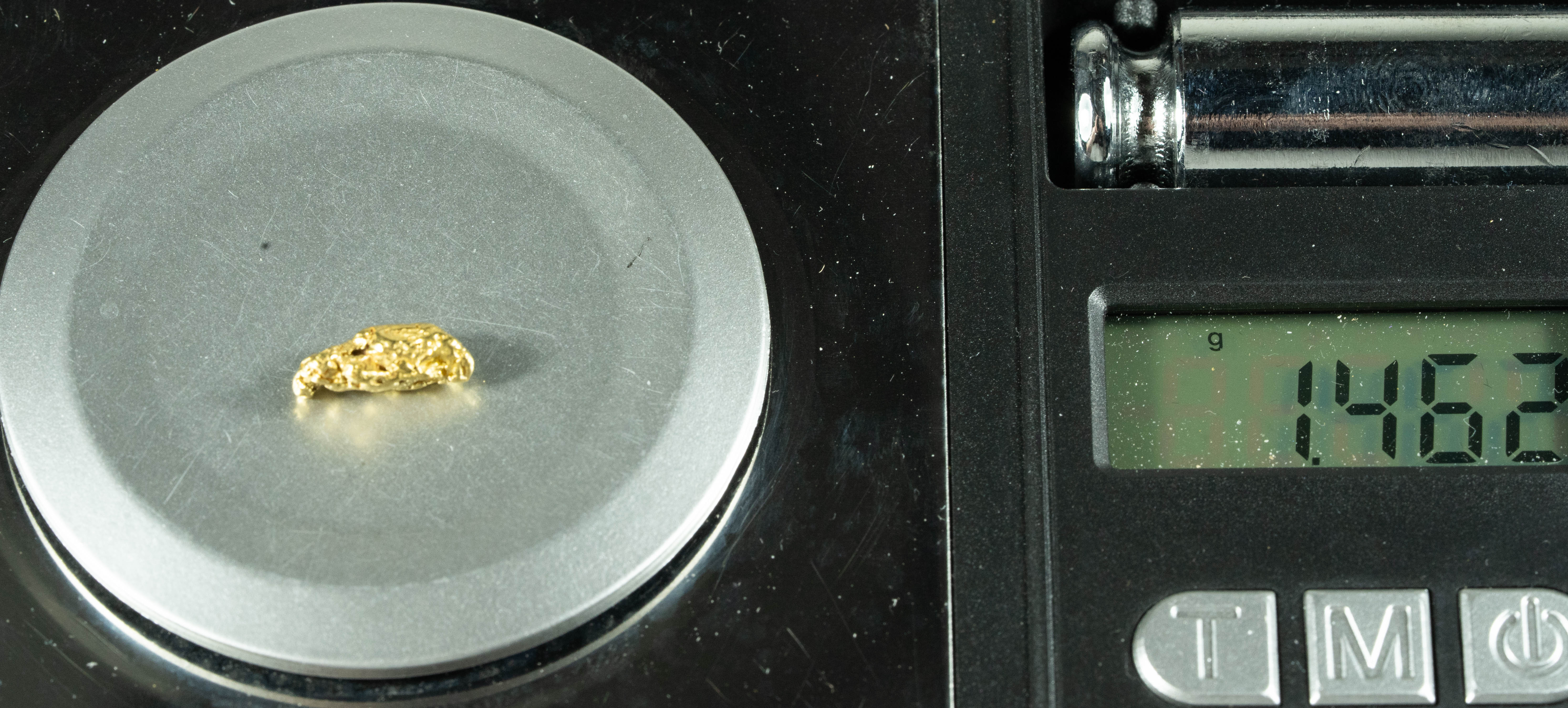 #37 Alaskan BC Natural Gold Nugget 1.46 Grams Genuine