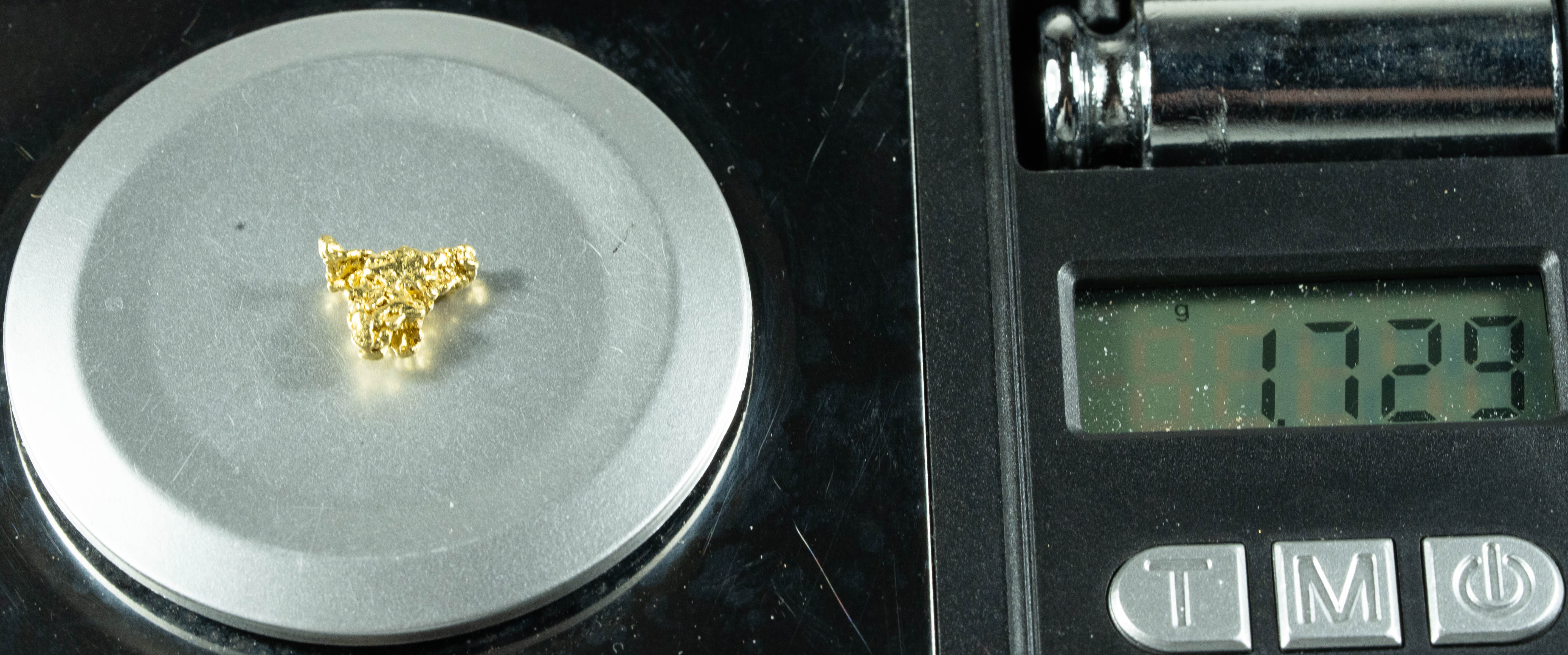#59 Sonora Mexico Natural Gold Nugget 1.72 Grams Genuine