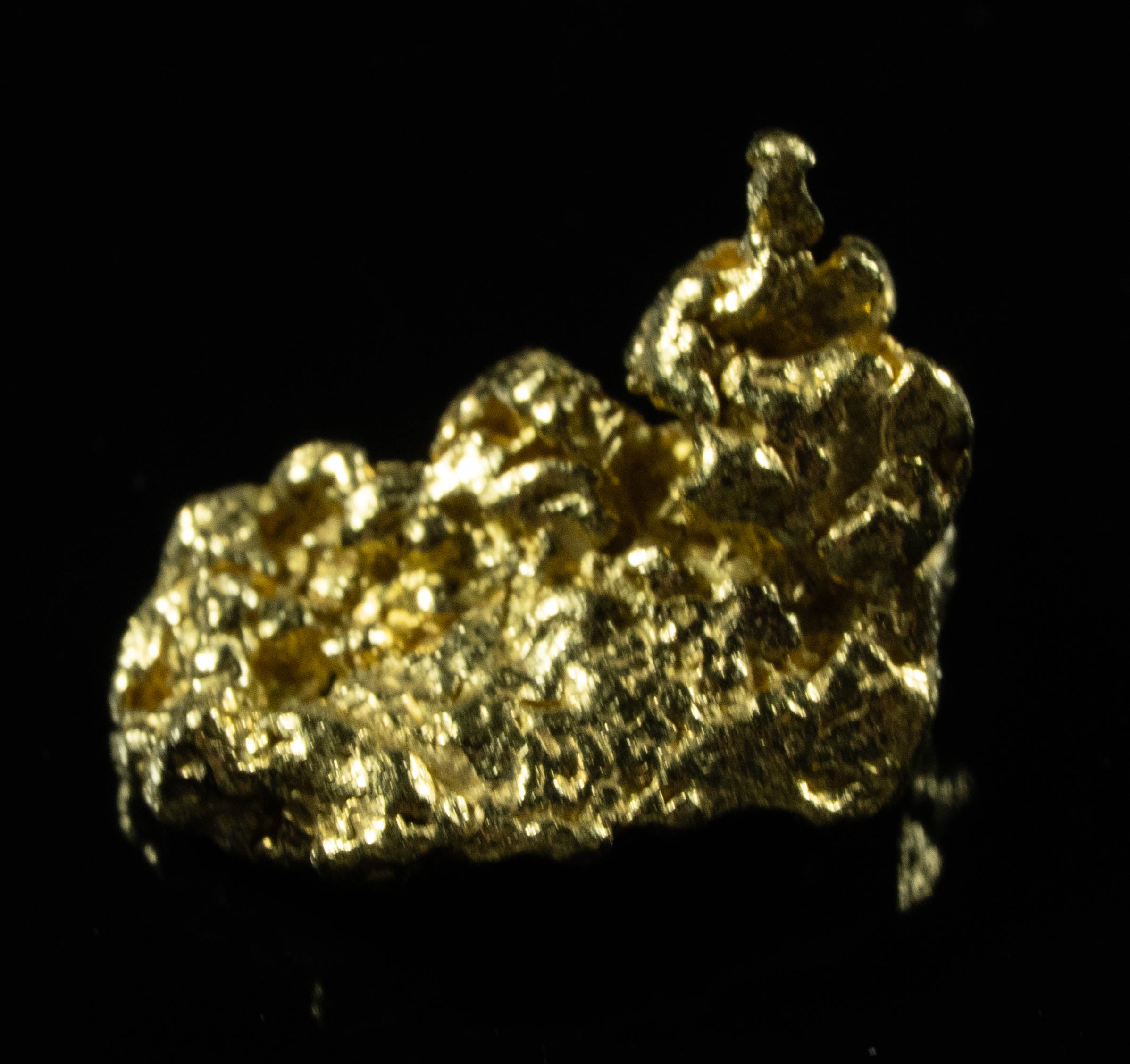 #67 Sonora Mexico Natural Gold Nugget 1.55 Grams Genuine