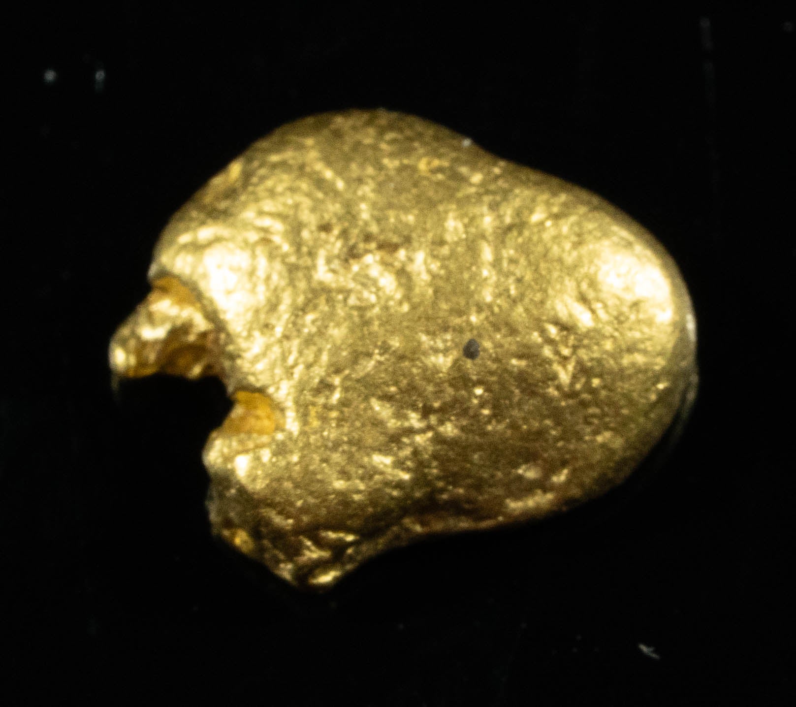 #799 Natural Gold Nugget Australian 1.37 Grams Genuine