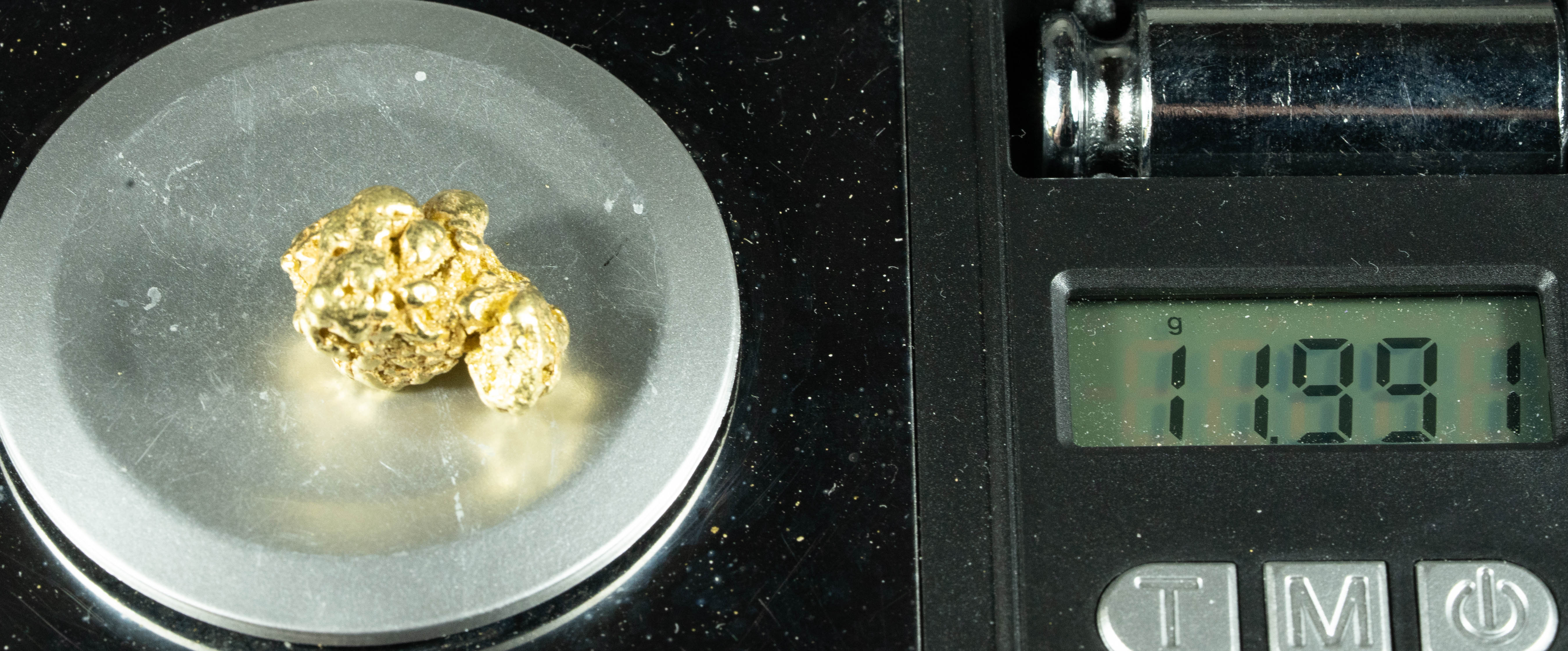 #372 Alaskan BC Natural Gold Nugget 11.99 Grams Genuine