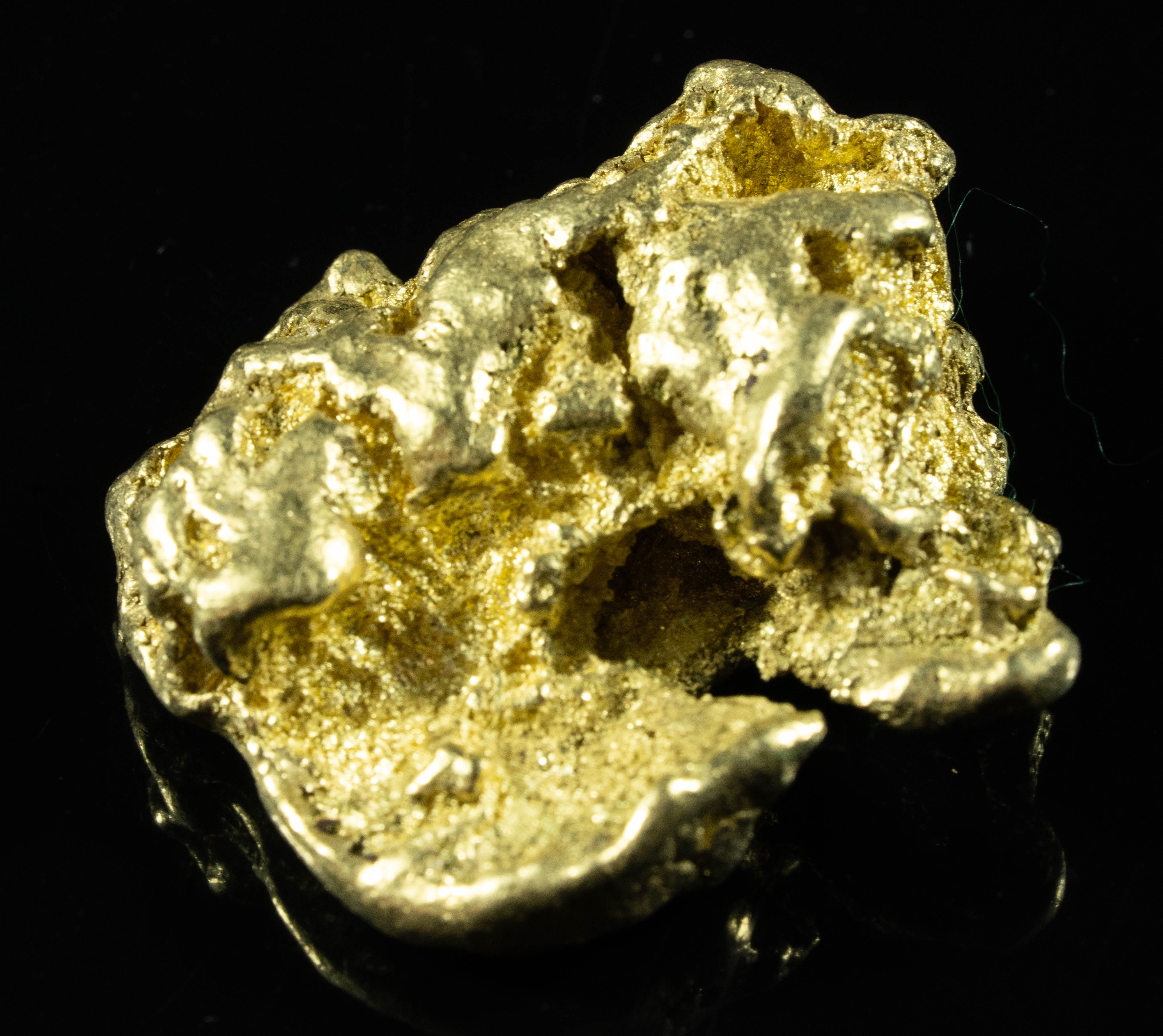 Large Alaskan BC Gold Nugget 48.00 Grams Genuine
