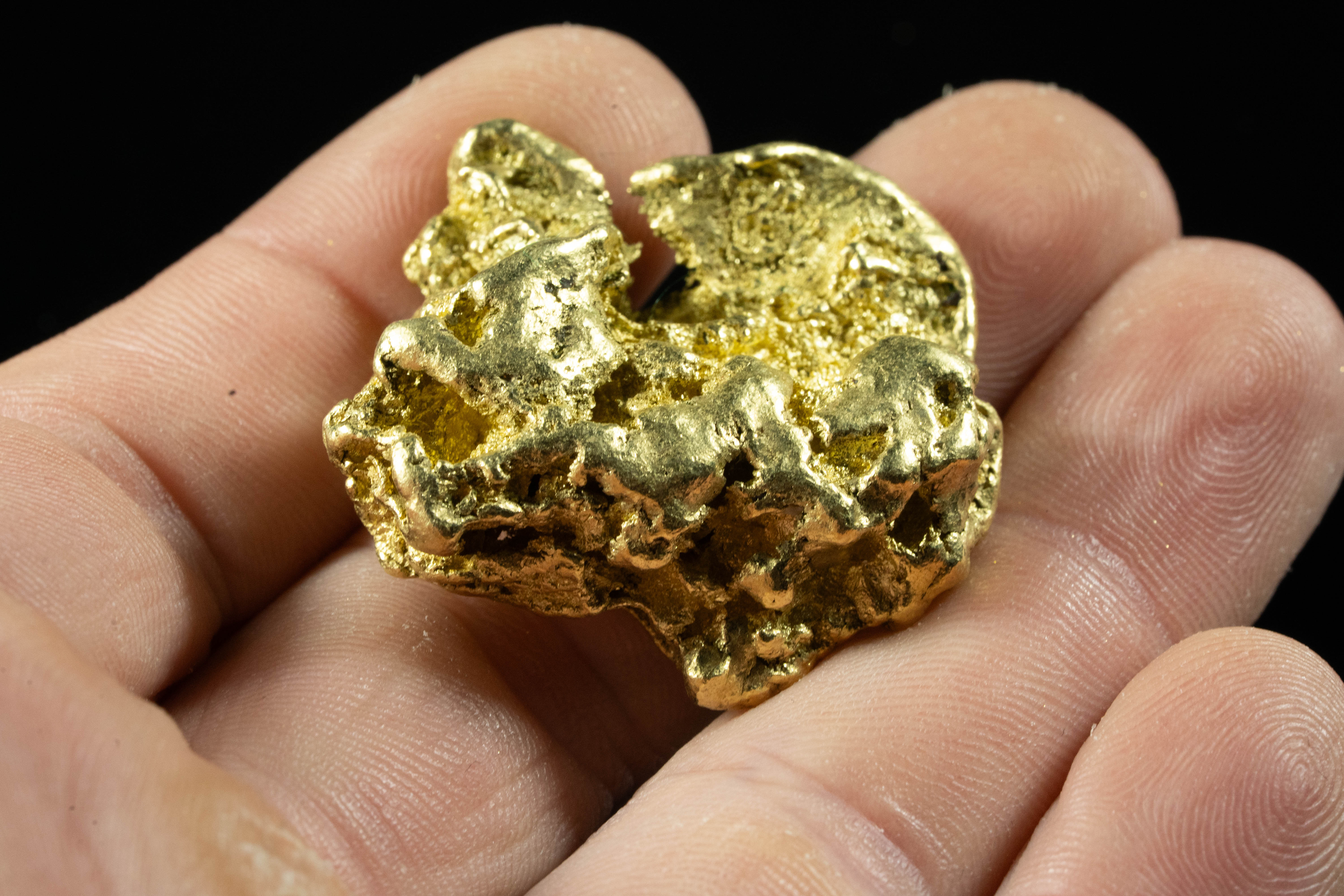 Large Alaskan BC Gold Nugget 48.00 Grams Genuine