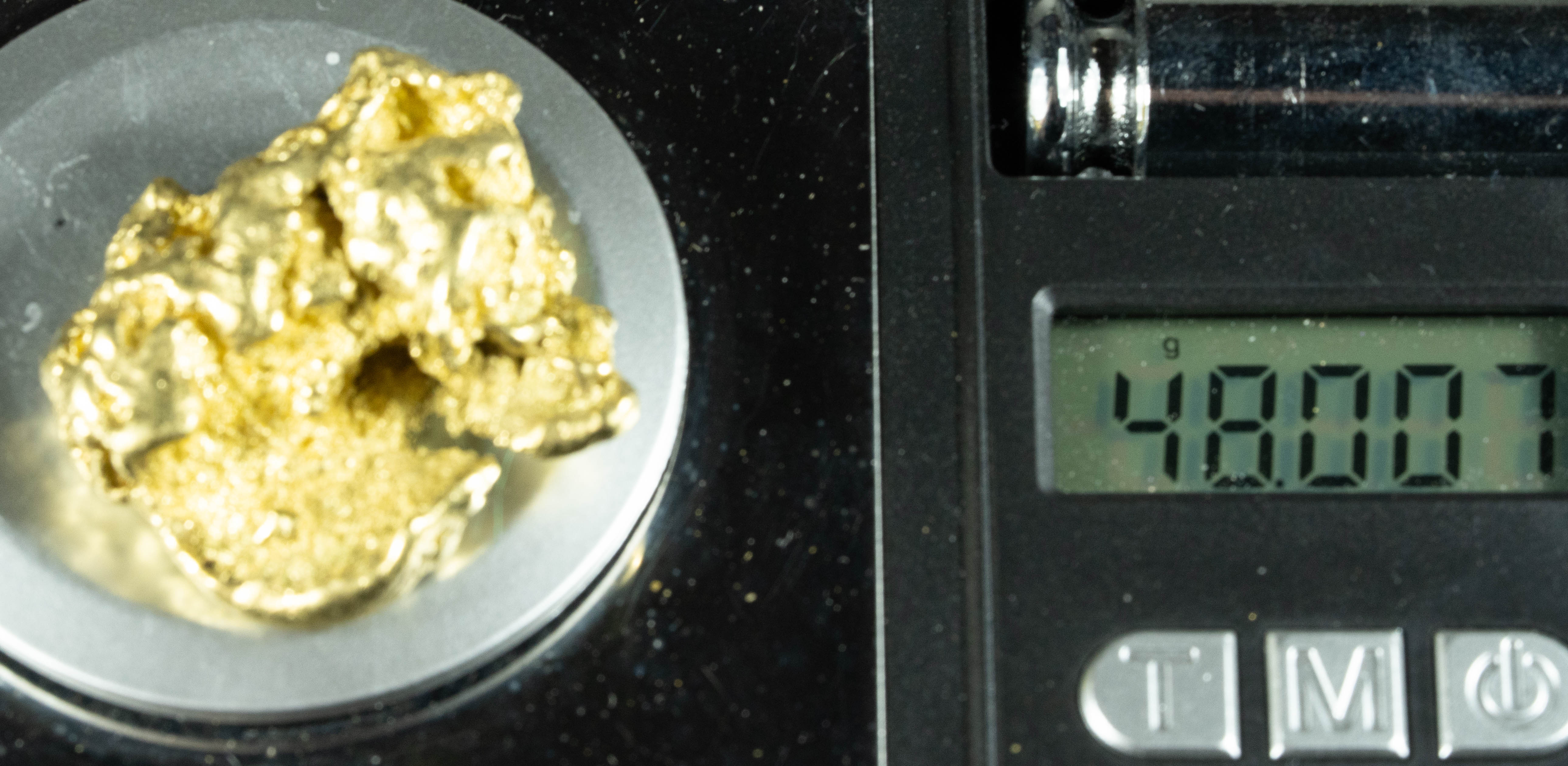 Large Alaskan BC Gold Nugget 48.00 Grams Genuine