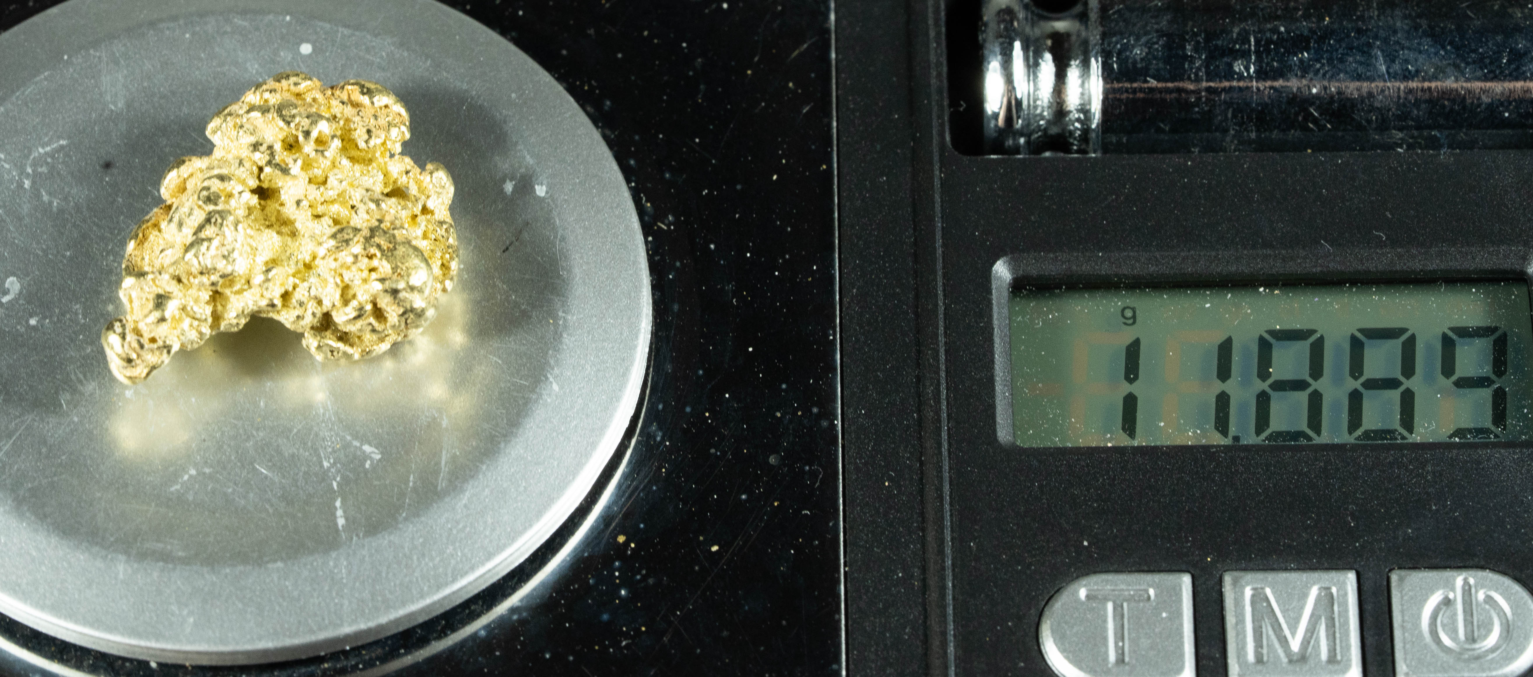 #393 Alaskan BC Natural Gold Nugget 11.88 Grams Genuine