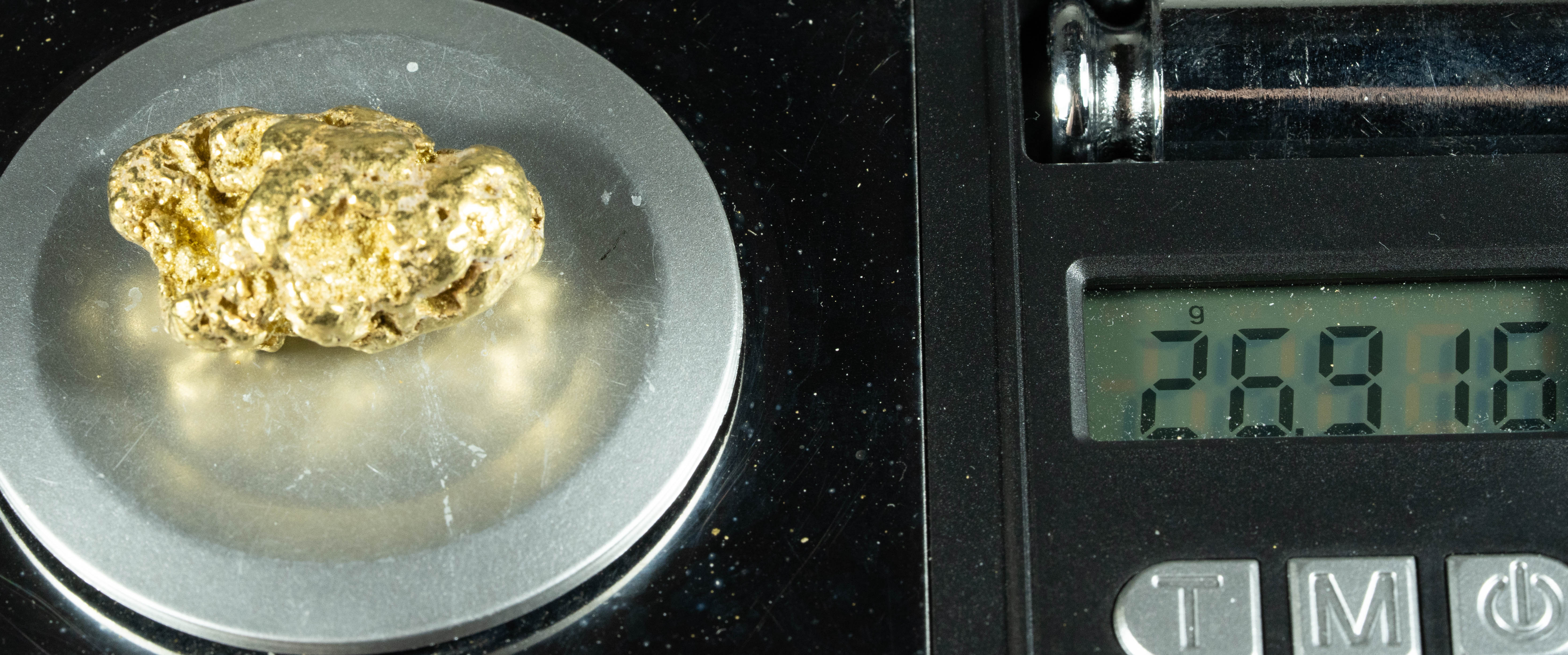 #542 Large Alaskan BC Gold Nugget 26.91 Grams Genuine