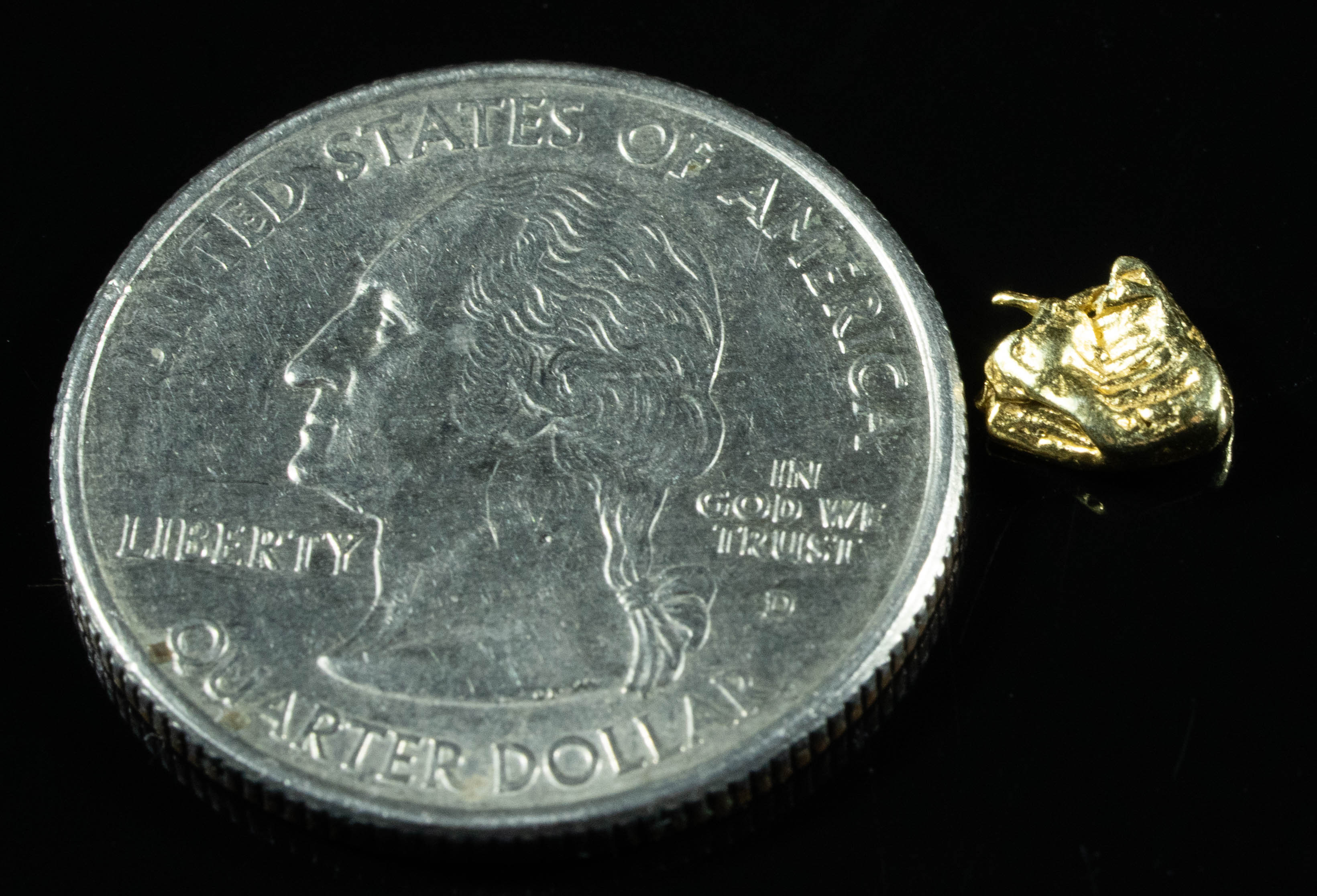 SP-30 Alaskan BC Dendritic Exotic Shaped Gold Nugget "Special Collection" .42 Grams