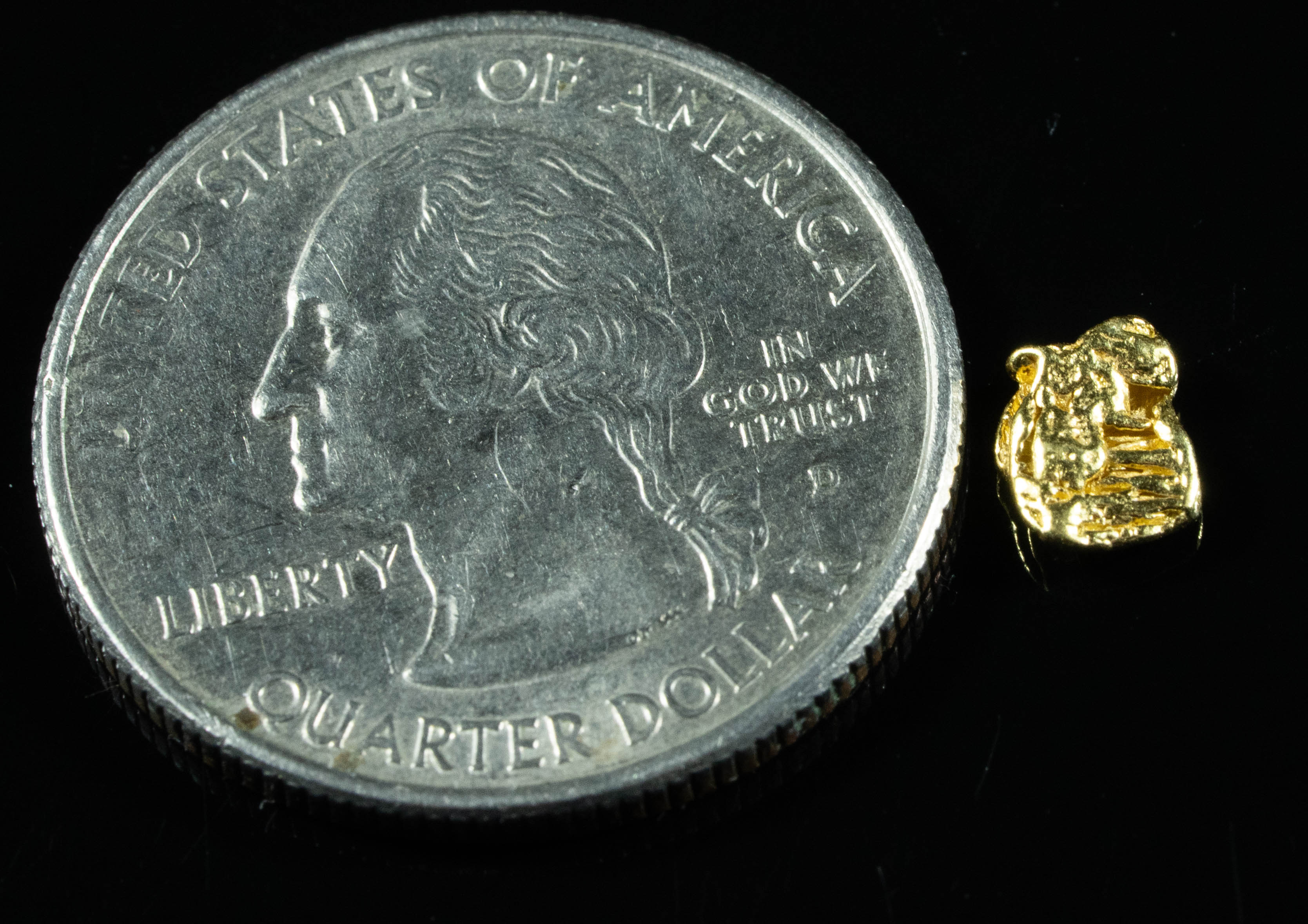SP-29 Alaskan BC Dendritic Exotic Shaped Gold Nugget "Special Collection" .32 Grams